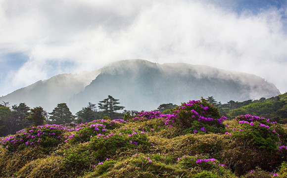 Mega-Resort mit Themenpark geplant