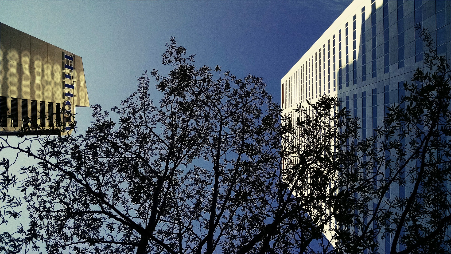 Das sind die wertvollsten Hotelmarken