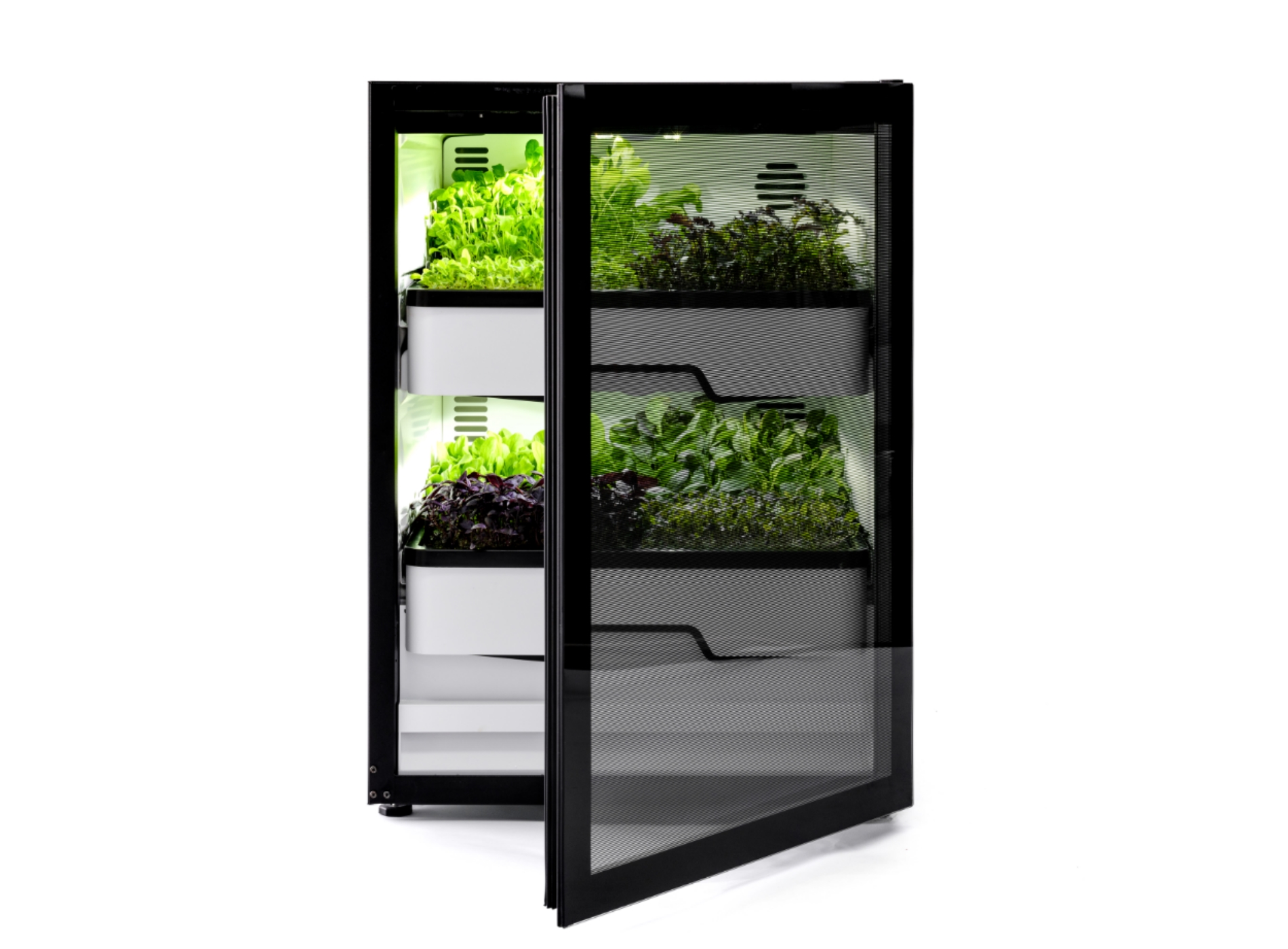 Mini-Gewächshaus für Microgreens