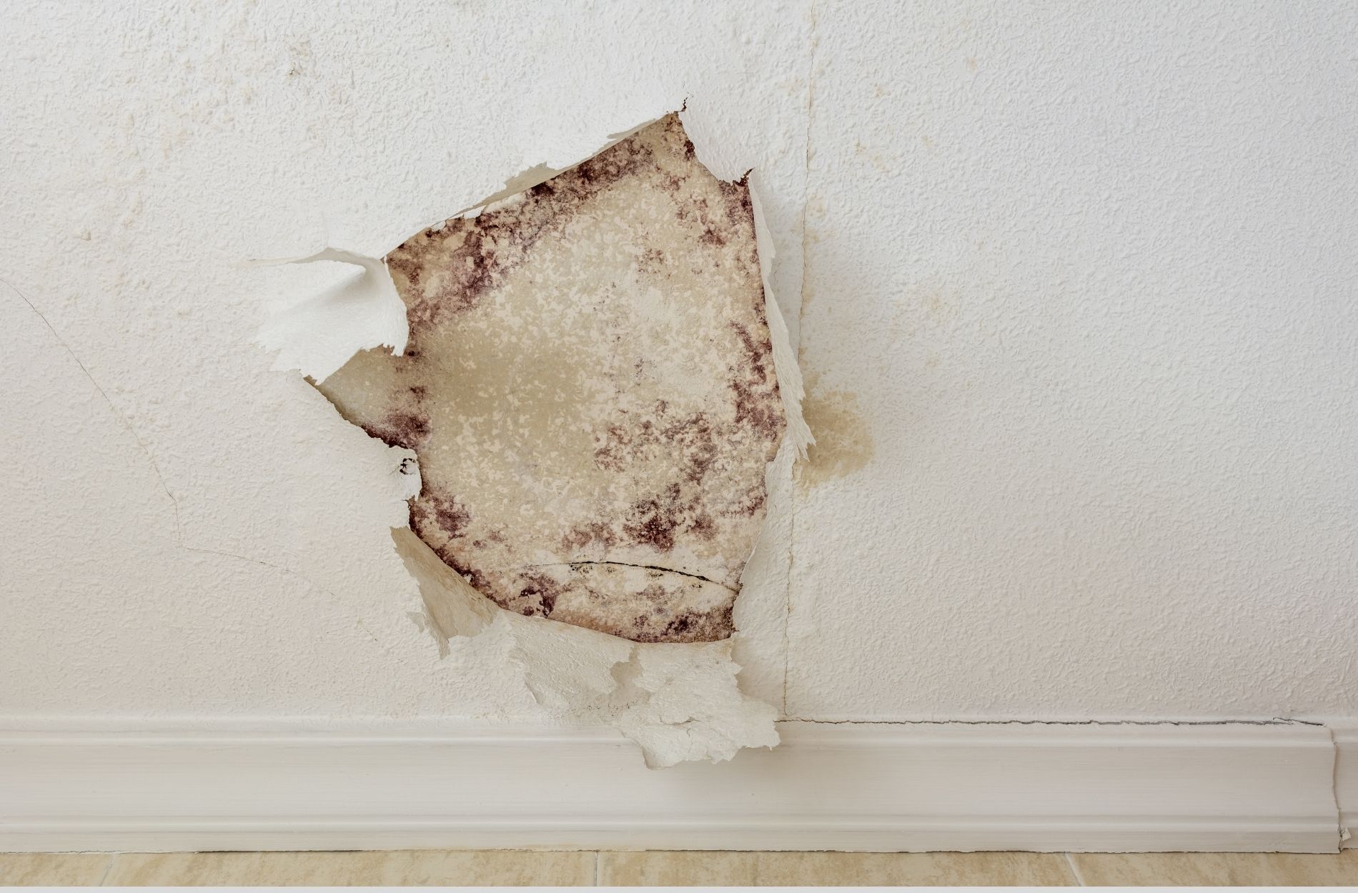 Optimal geschützt  bei Wasserschäden