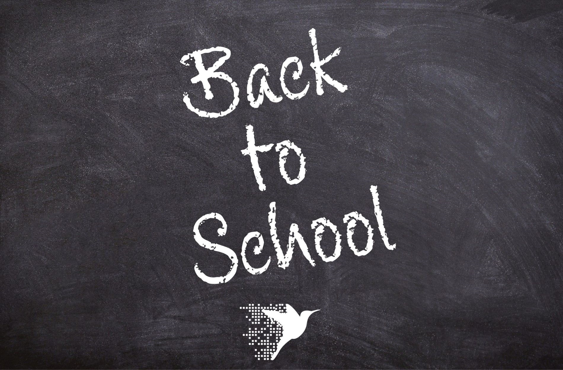 Online Birds bietet kostenfreie Weiterbildung zum Thema Online Marketing