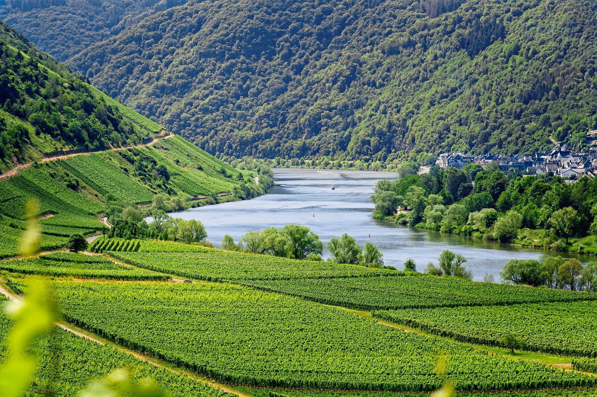 Inlandsreisen als Motor der europäischen Hotelerholung