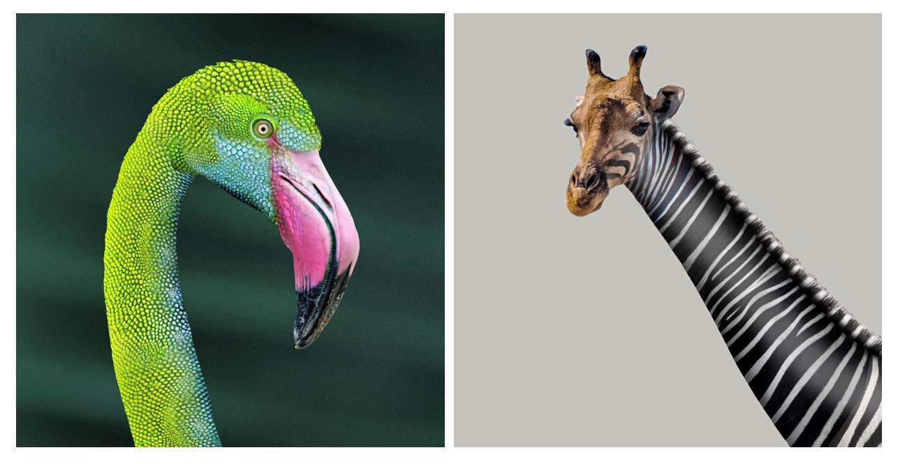 Deutsche Hospitality launcht Plattform "Hybreetings by DH“