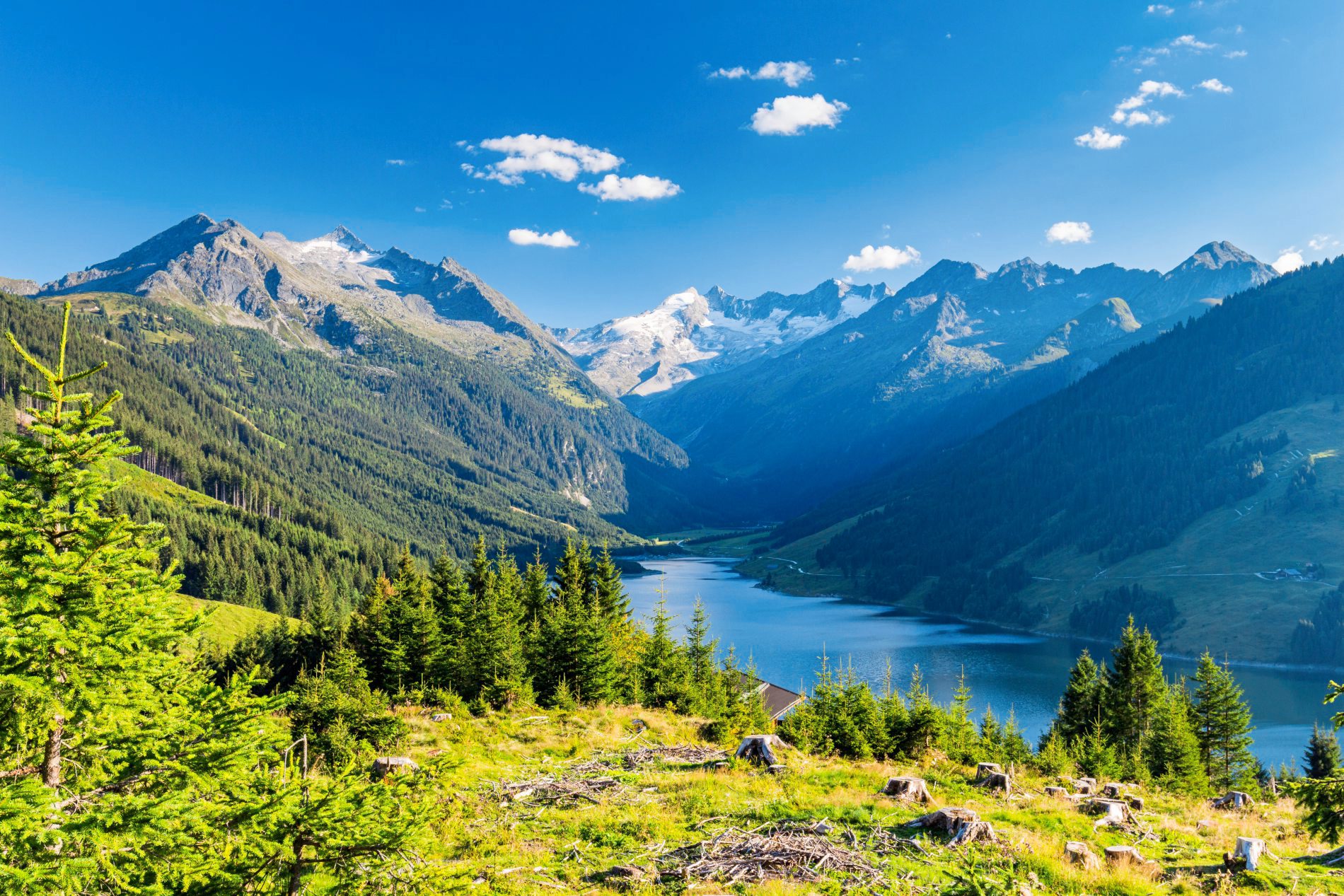 So ist die Buchungslage im Sommer