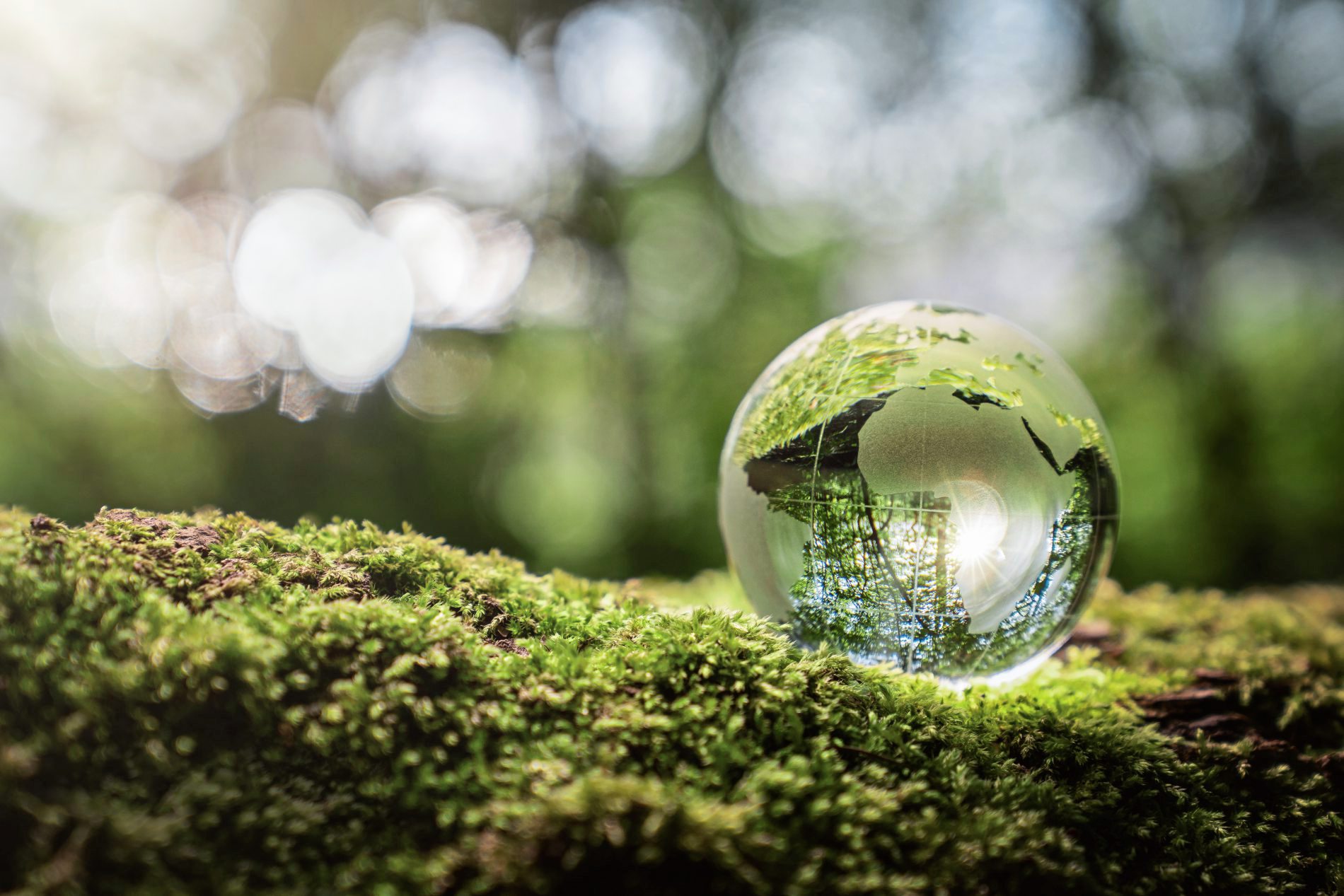 Zertifizierung für nachhaltiges Engagement
