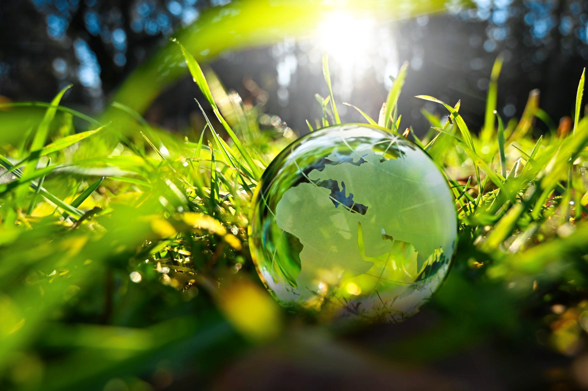 Einsatz für Nachhaltigkeit