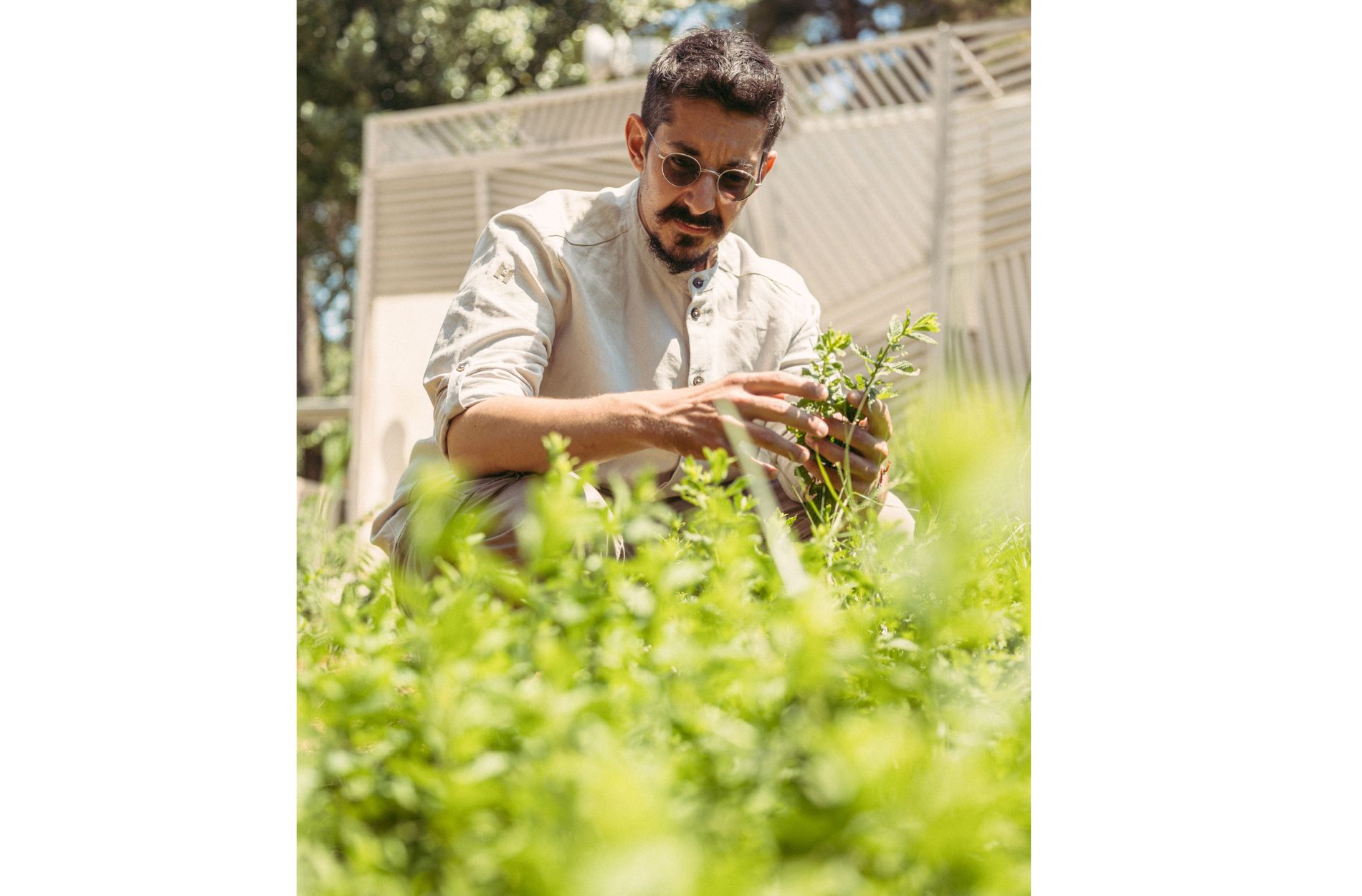 Alexandros Tsiotinis wird Küchenchef