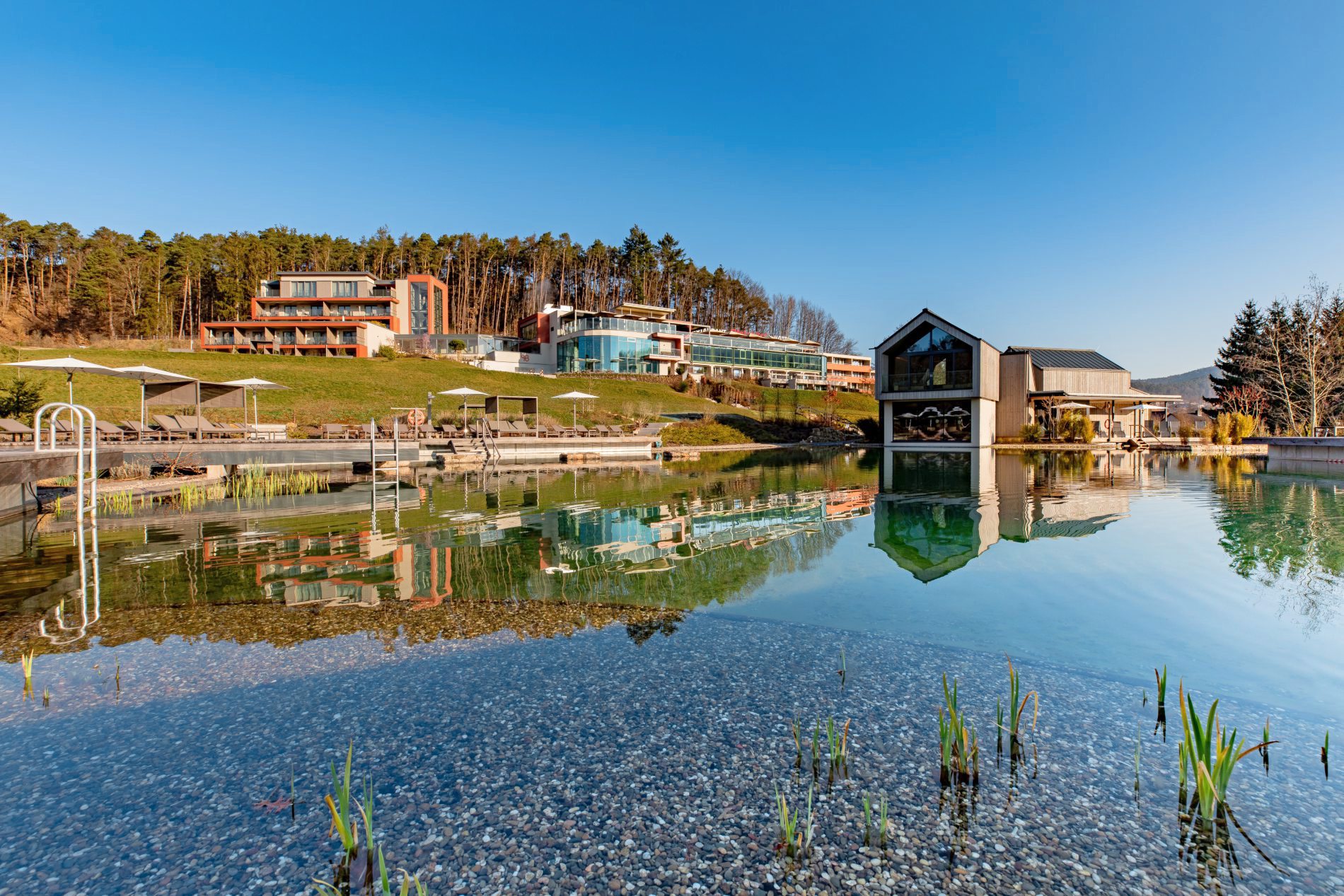 Hotel Pfalzblick Außenansicht