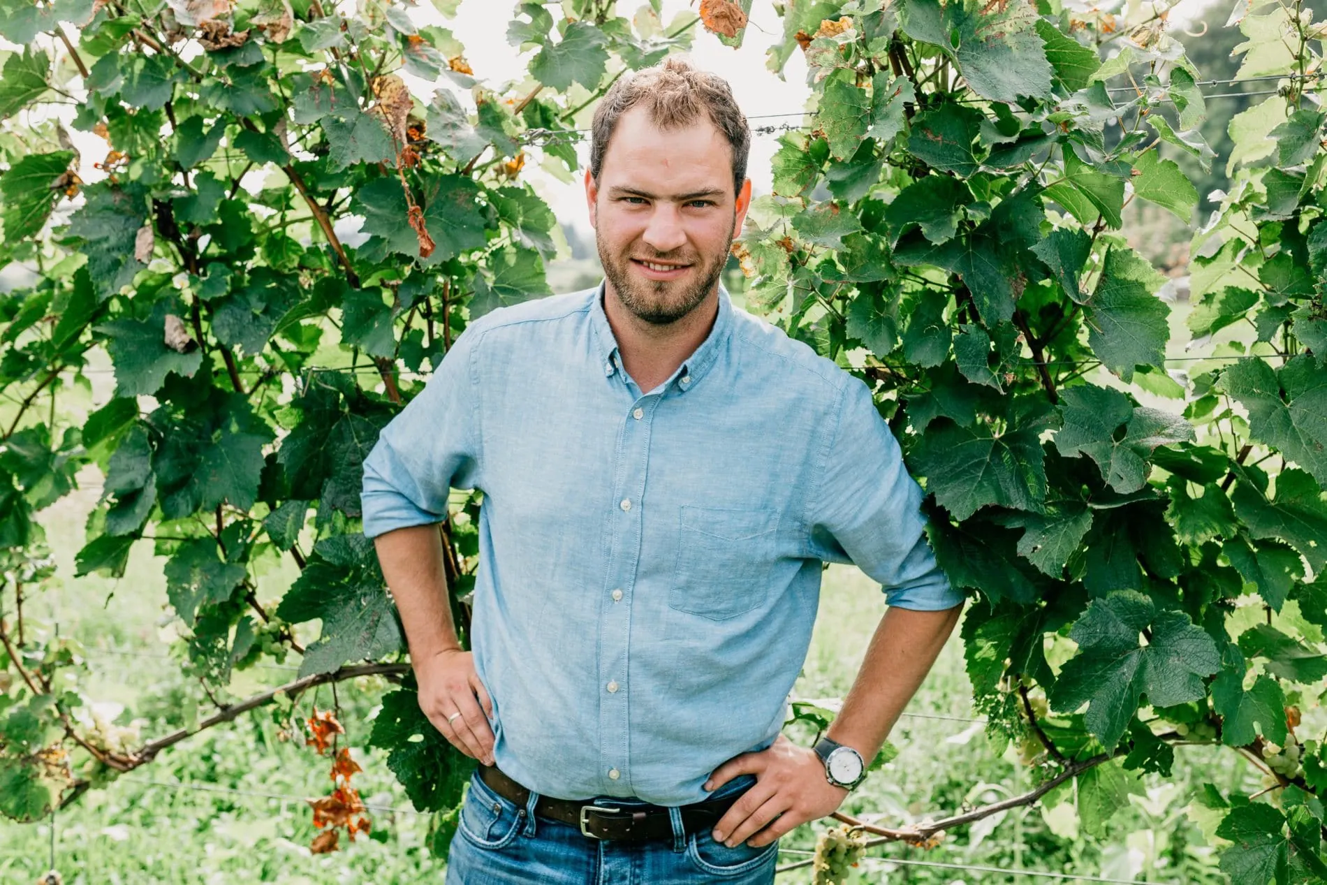 Konzept David Klenert Portrait