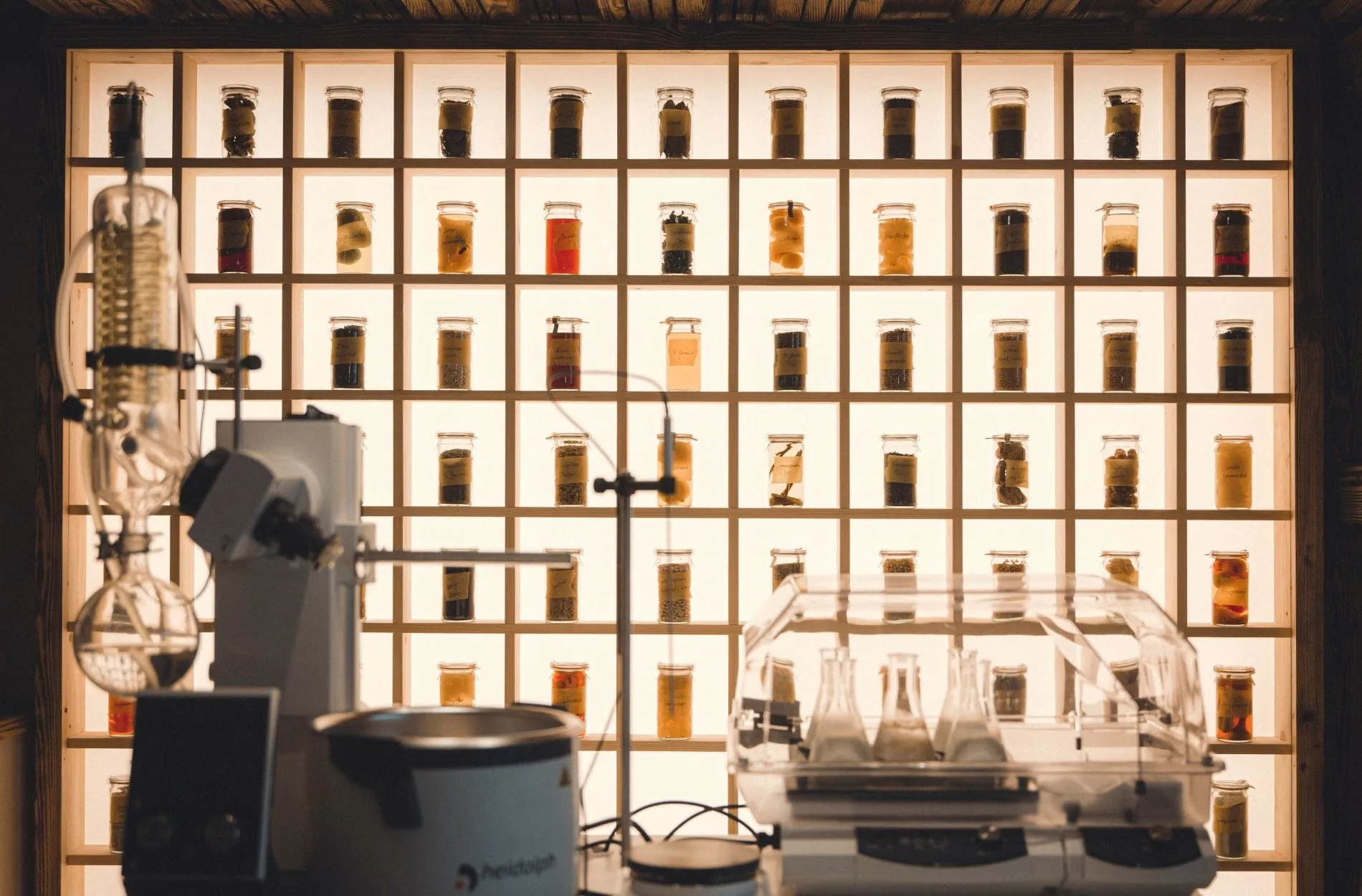 Alexander_Herrmann_Aura_Future_Lab_Anima