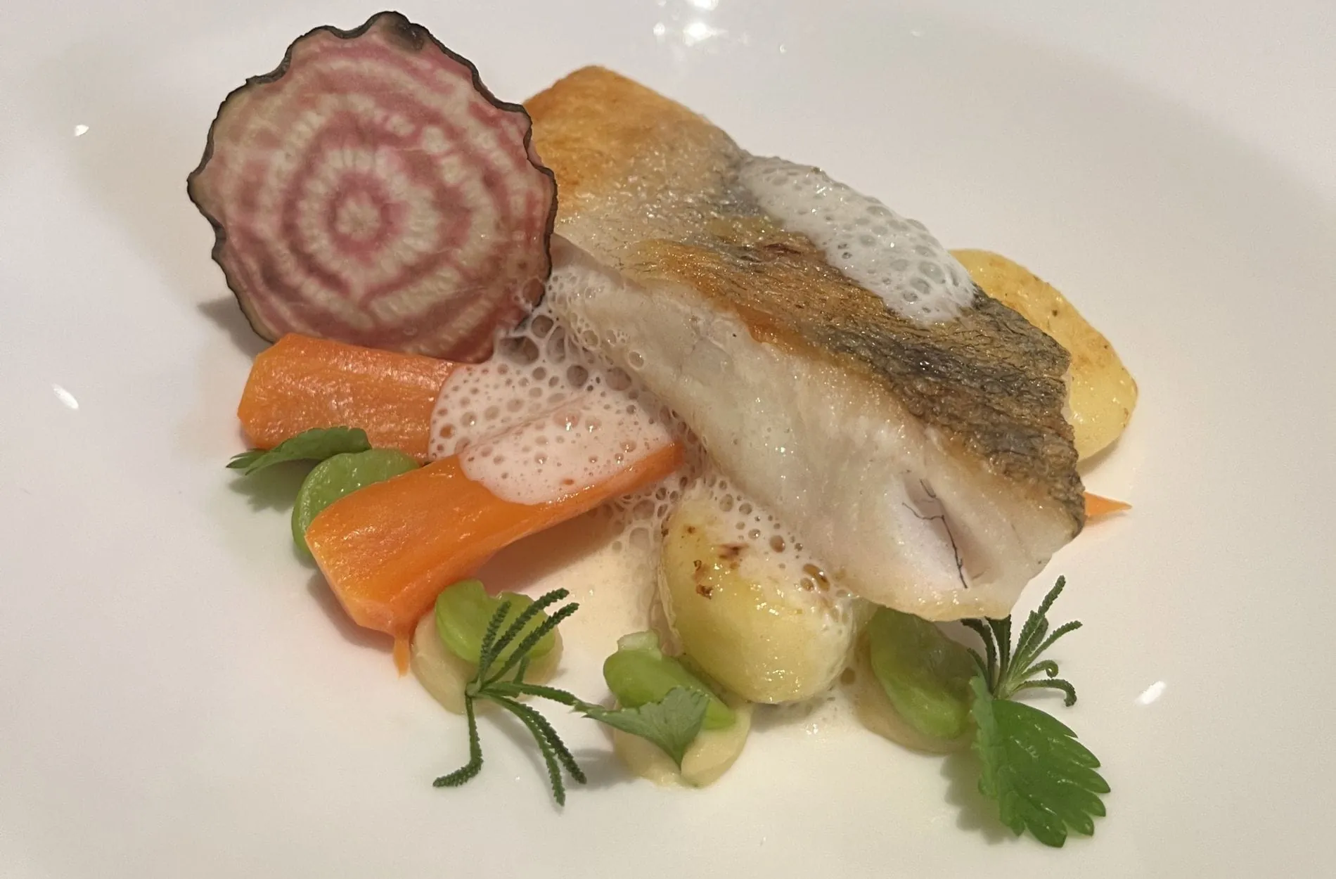 Zander auf Bohnen, karamellisierten Äpfeln und Gnocchi