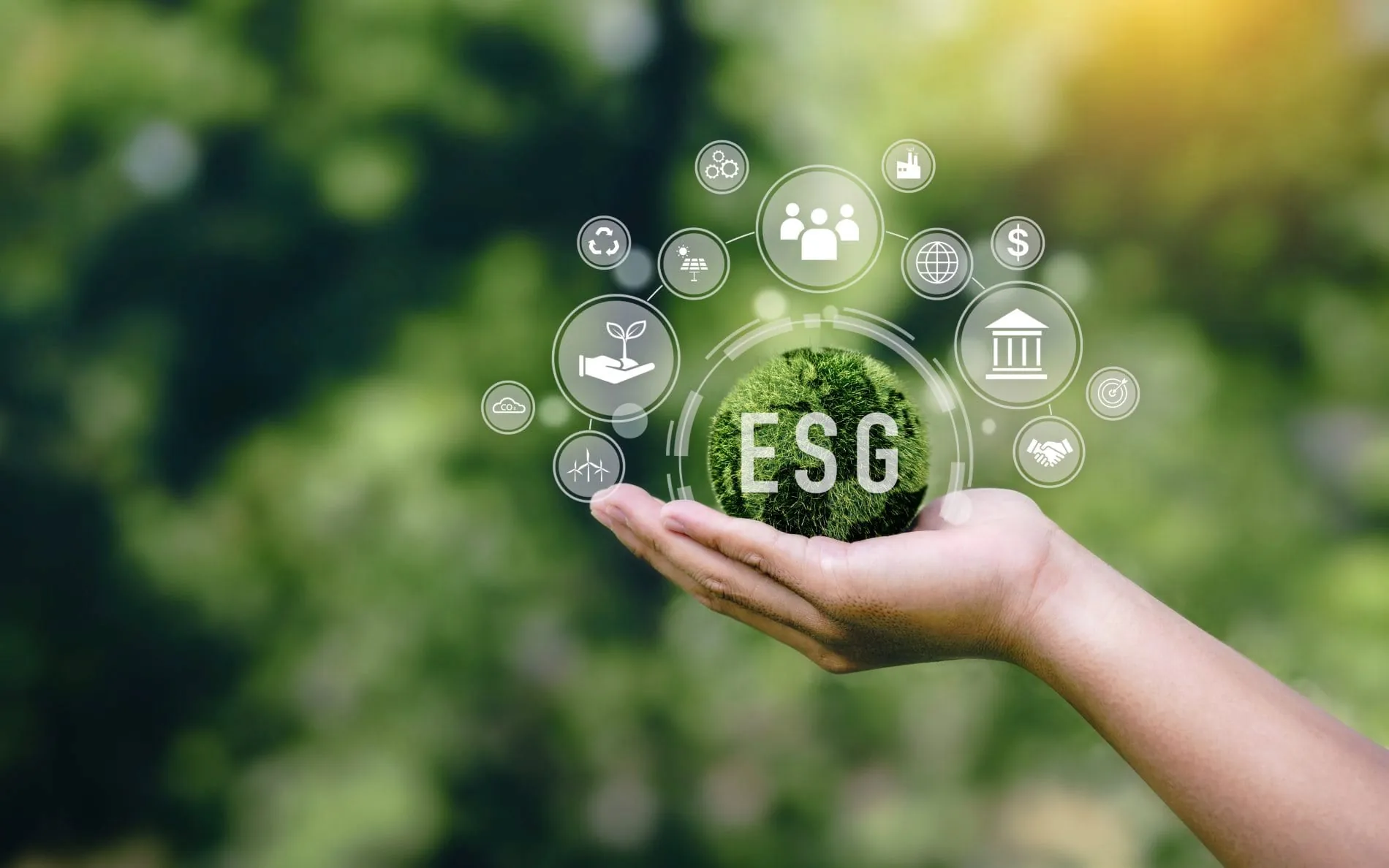 MHP Hotel AG veröffentlicht Nachhaltigkeitsstrategie