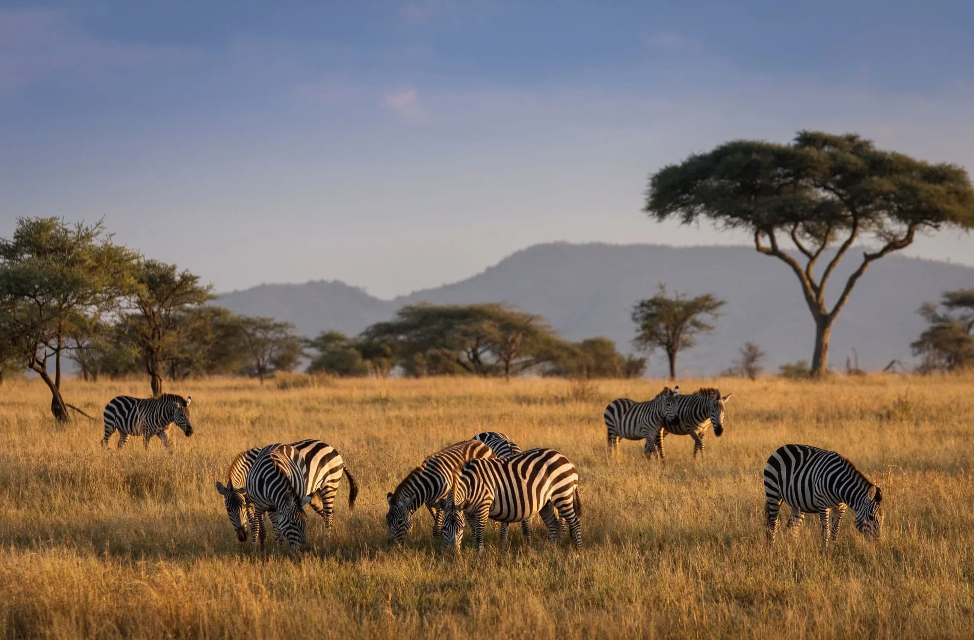 Marriott plant Safari-Lodge in der Serengeti