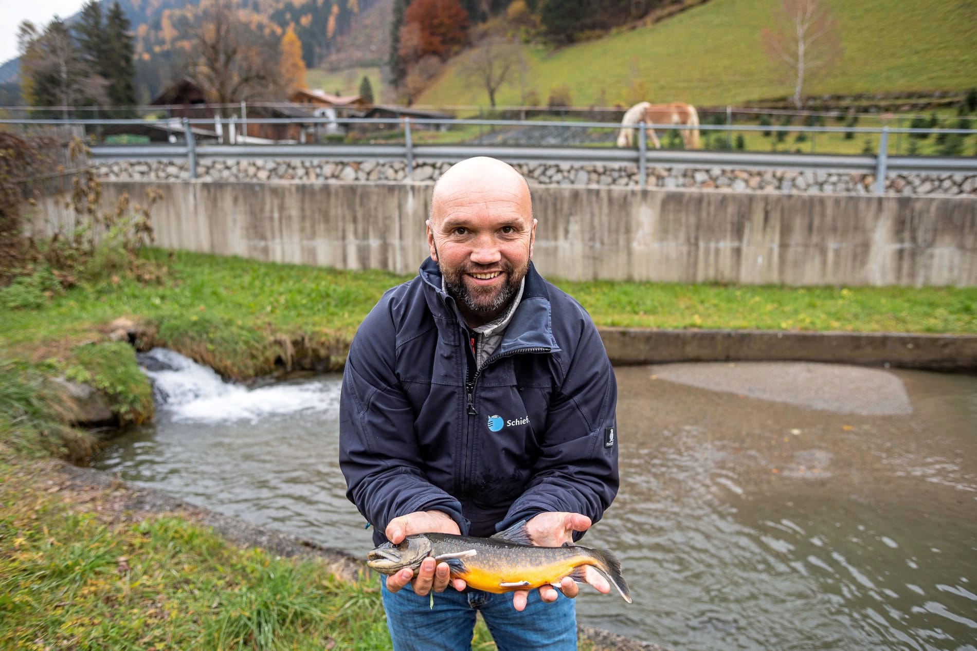 Fischzucht Schiefer
