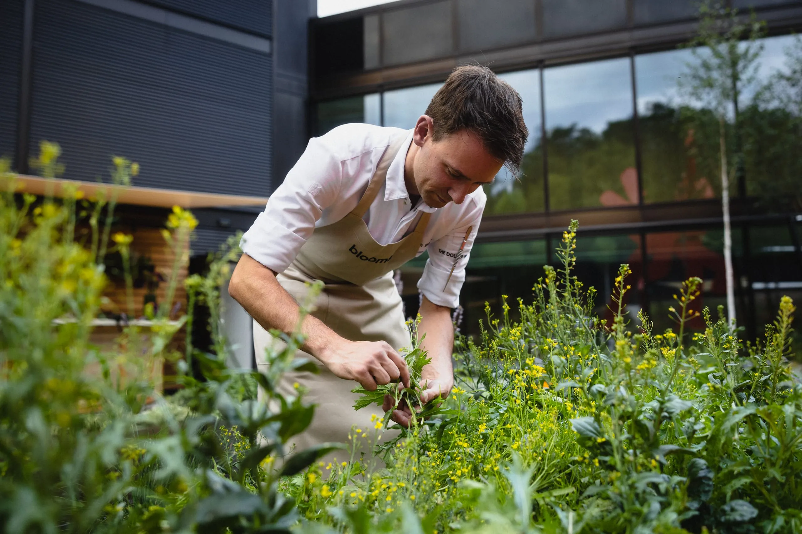 The_Dolder_Grand_Gartenrestaurant_Blooms_Robin_Briner