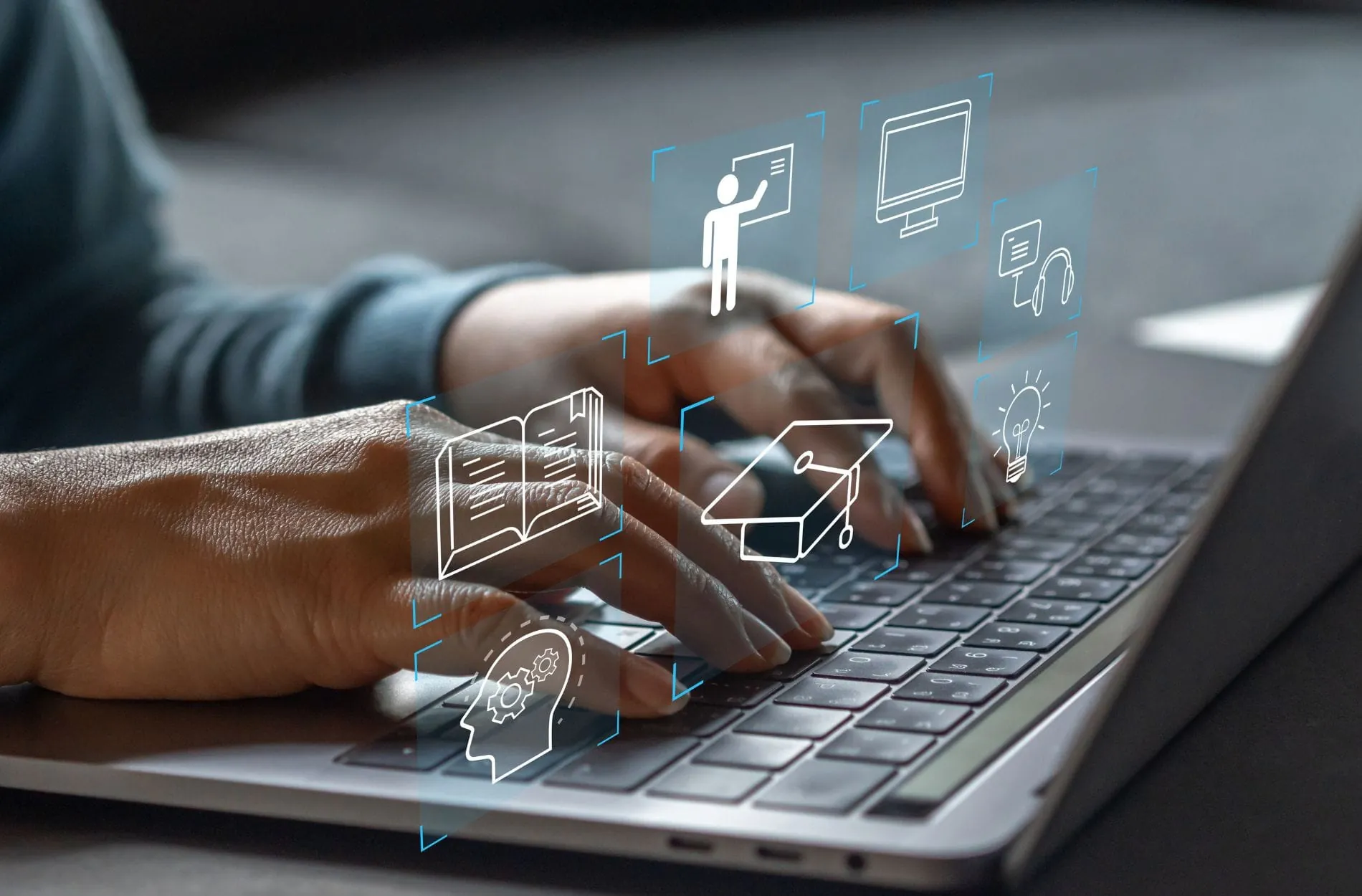 Online Birds gründet neuen Unternehmensbereich