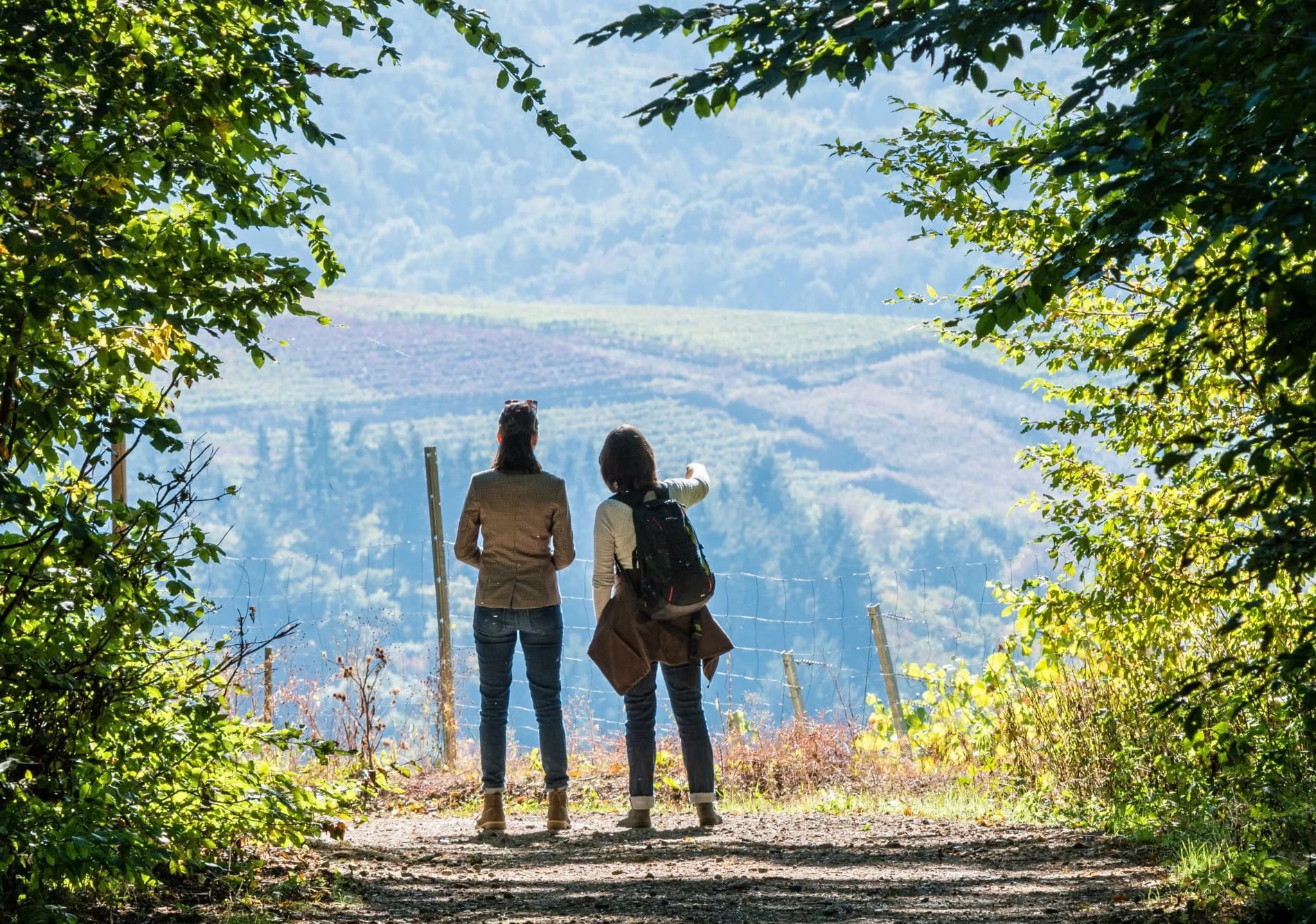 Ahrtal-Tourismus zufrieden mit Sommer