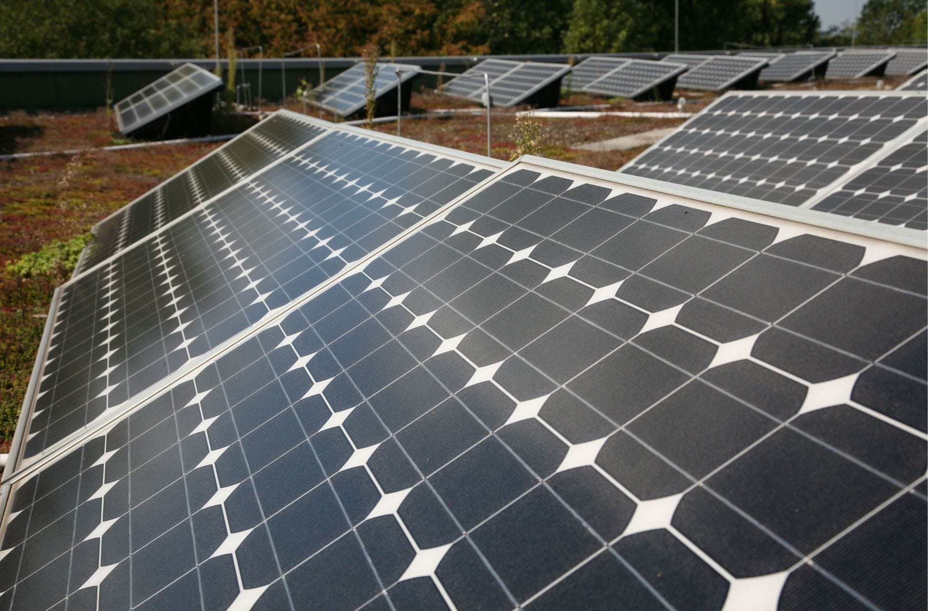 Startups liefern Ideen für die Solarbranche
