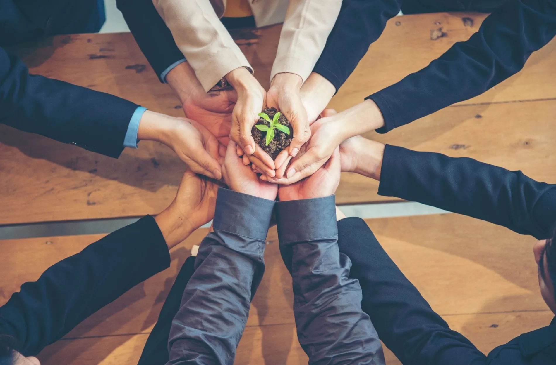 Hamburger Hotels veranstalten Nachhaltigkeitstag