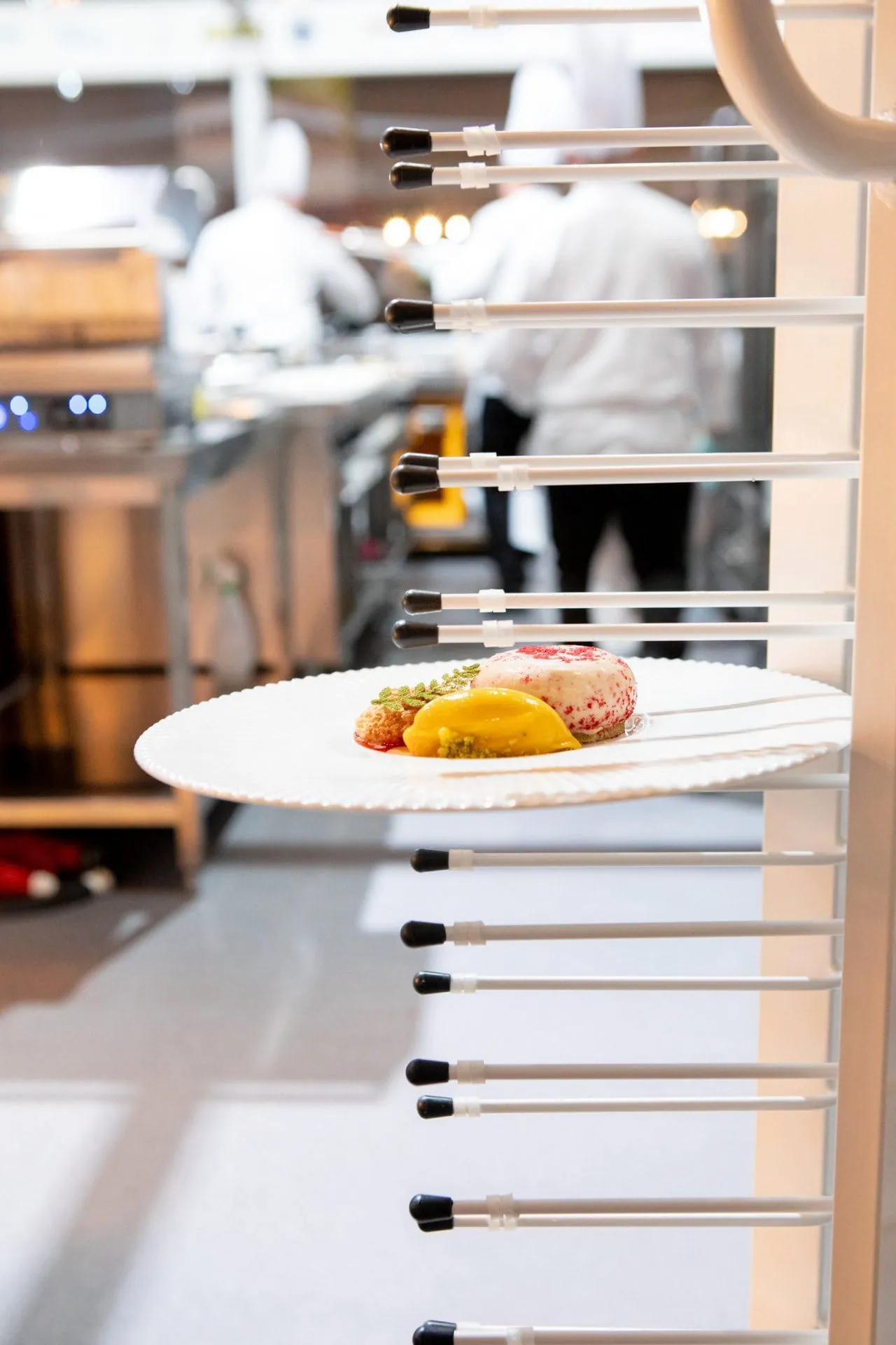 Impressionen von der IKA/Olympiade der Köche 2024.