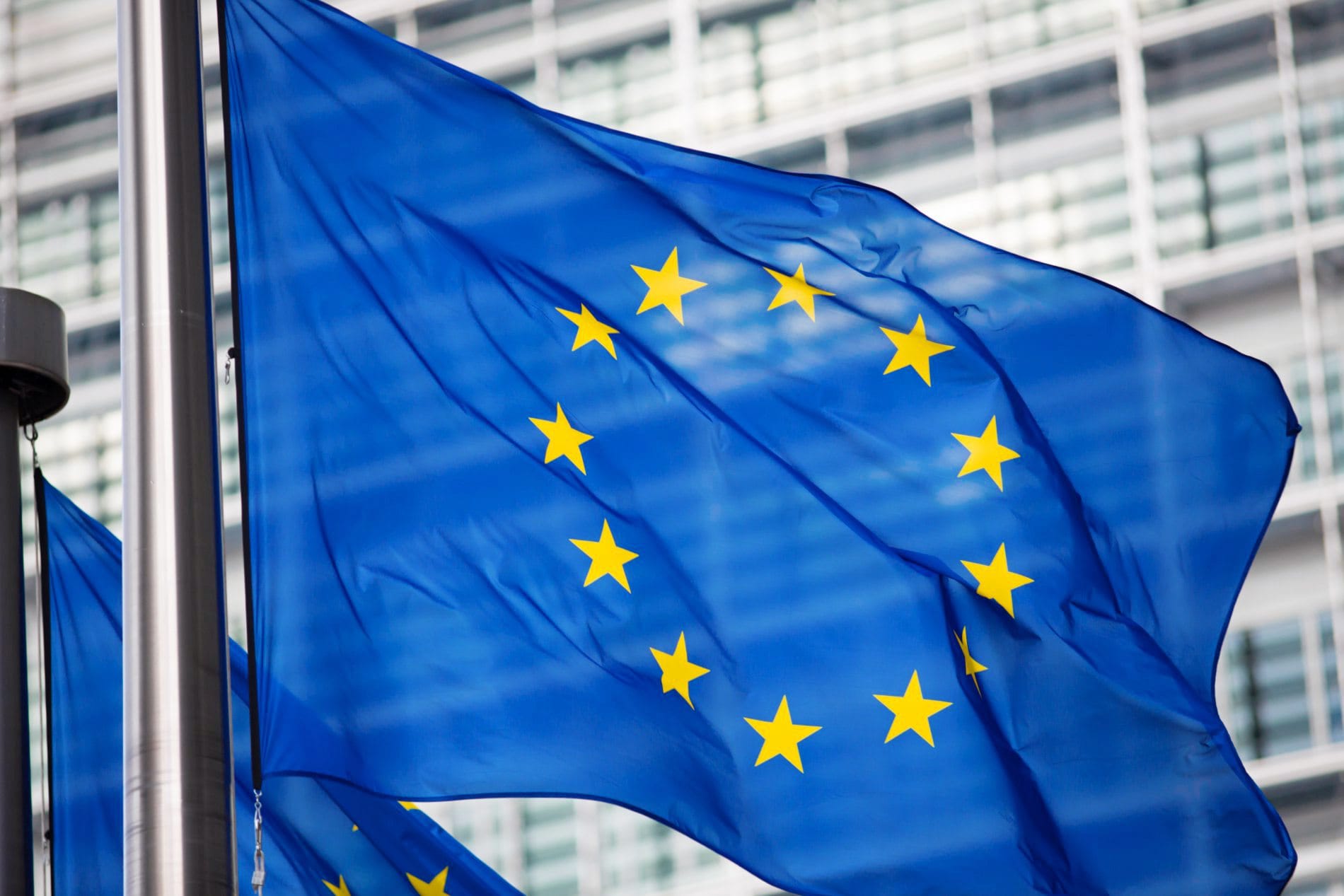 Am 9. Juni findet die Europawahl in Deutschland statt. IHA und Dehoga haben die Parteien zu ihren Haltungen für die Anliegen des Gastgewerbes befragt.