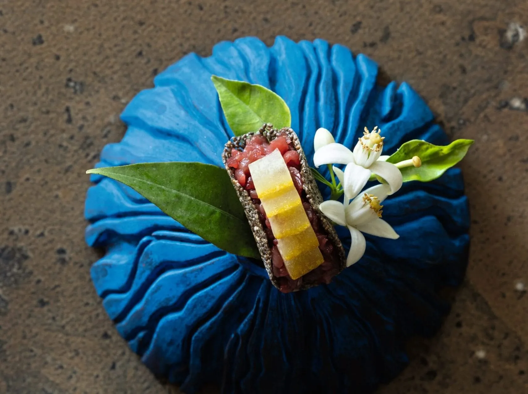 Chia mit Zedratzitrone und Hirschtatar