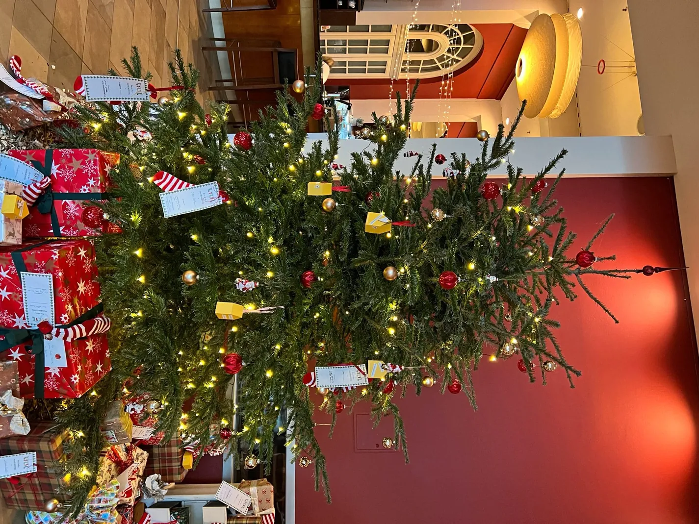 Wunschbaum A-Rosa und aja Travemünde