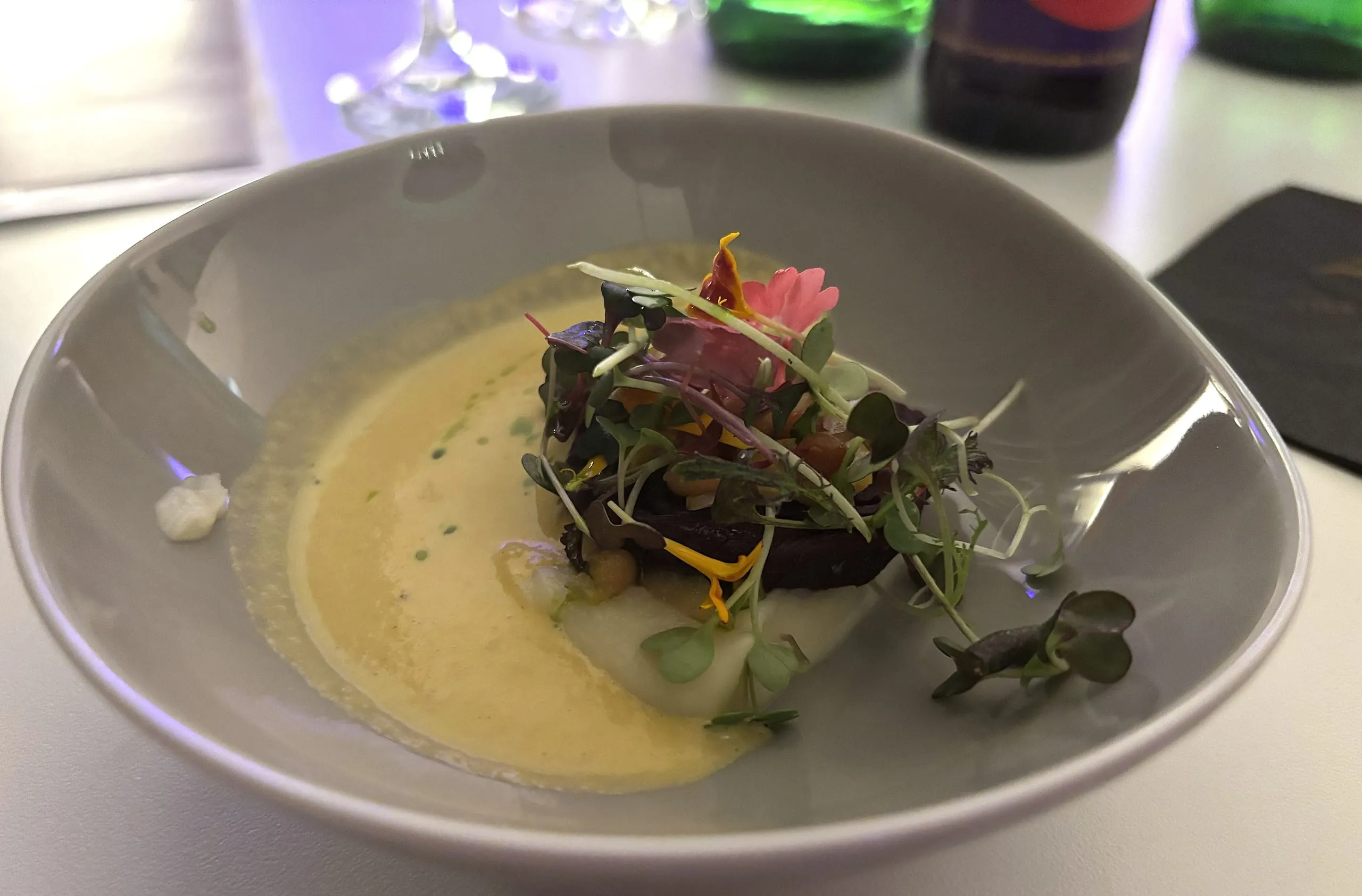 Zsolt Fodor_Vegan Garten