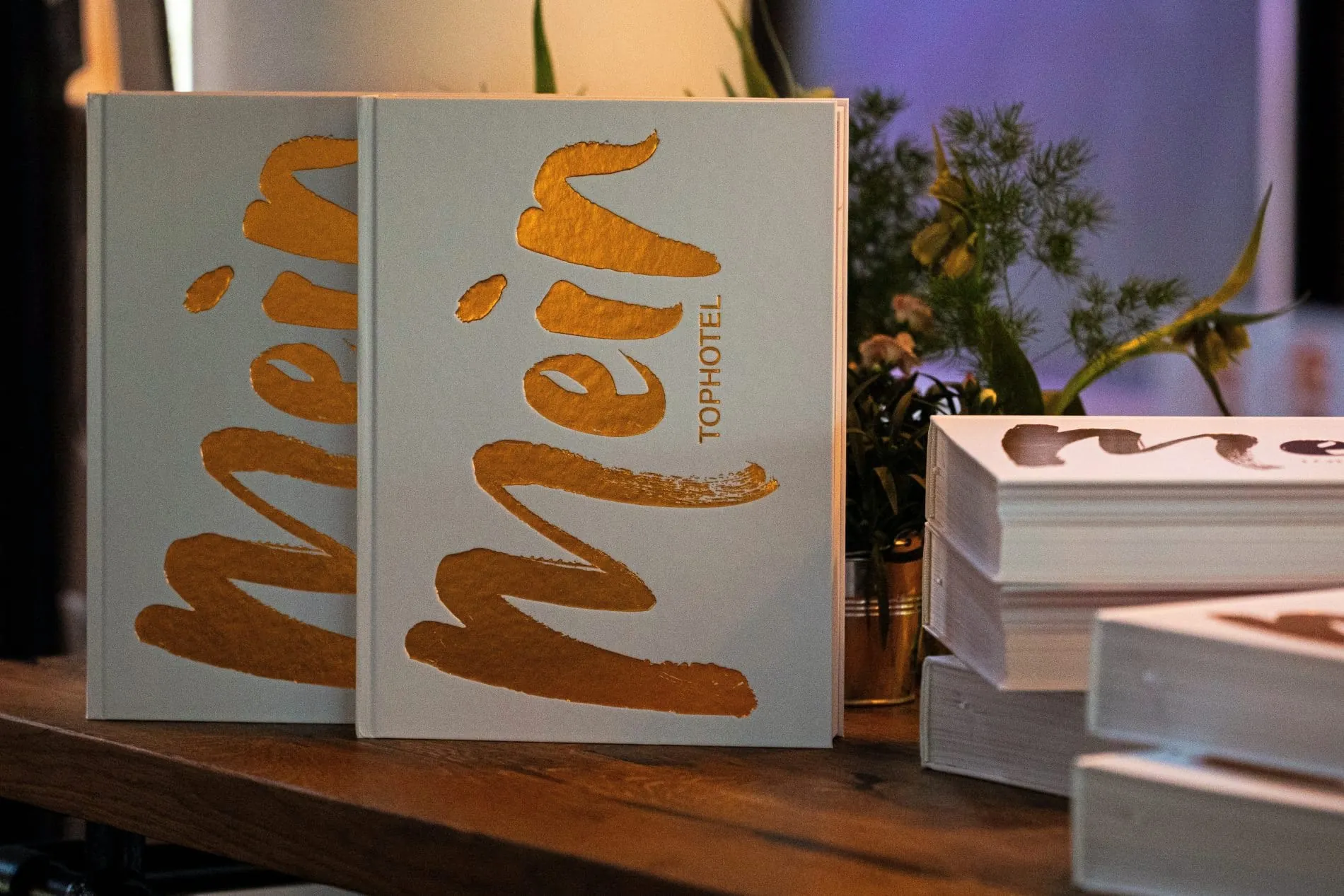 Mein Tophotel, Family Cup