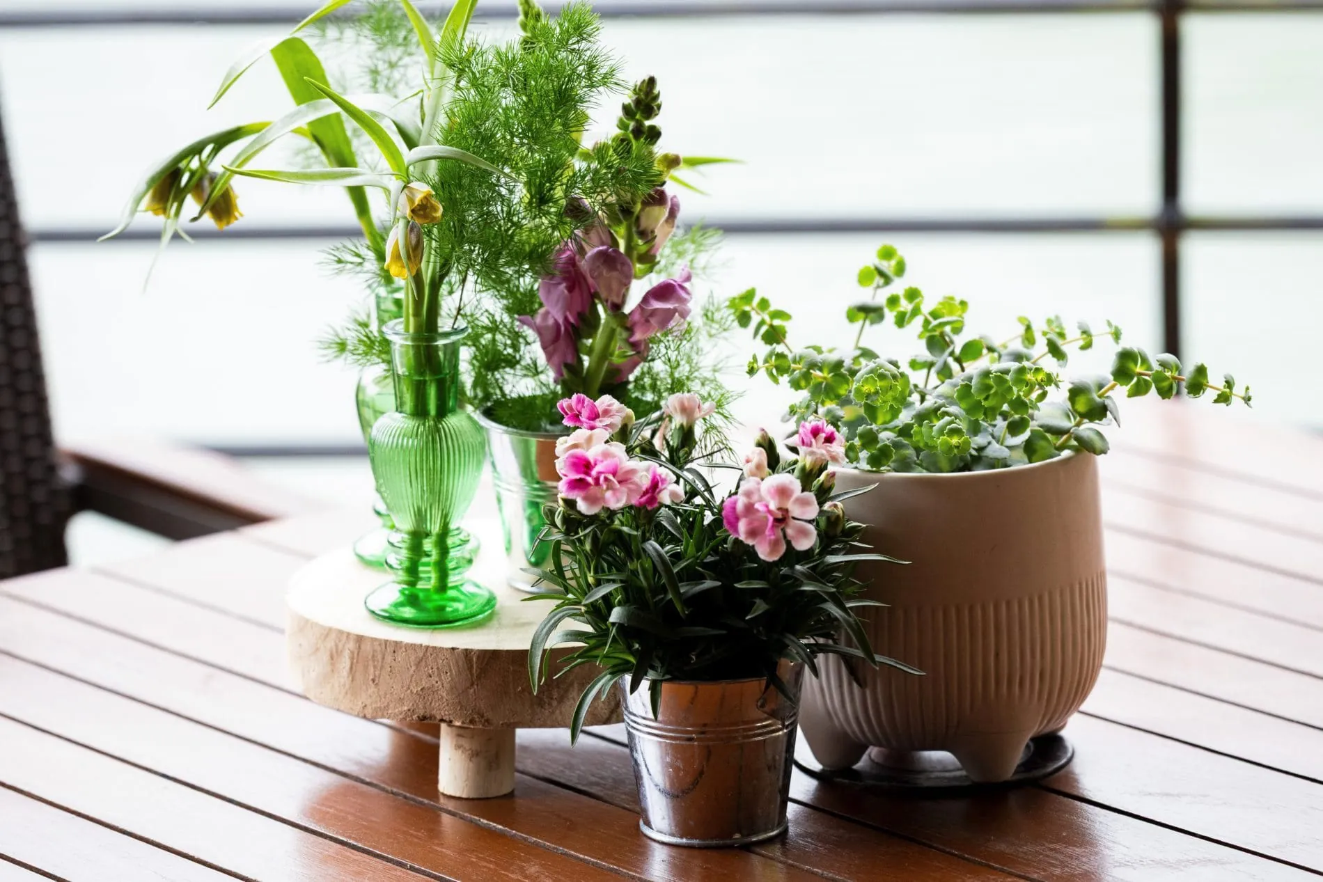 Mein Tophotel, Family Cup