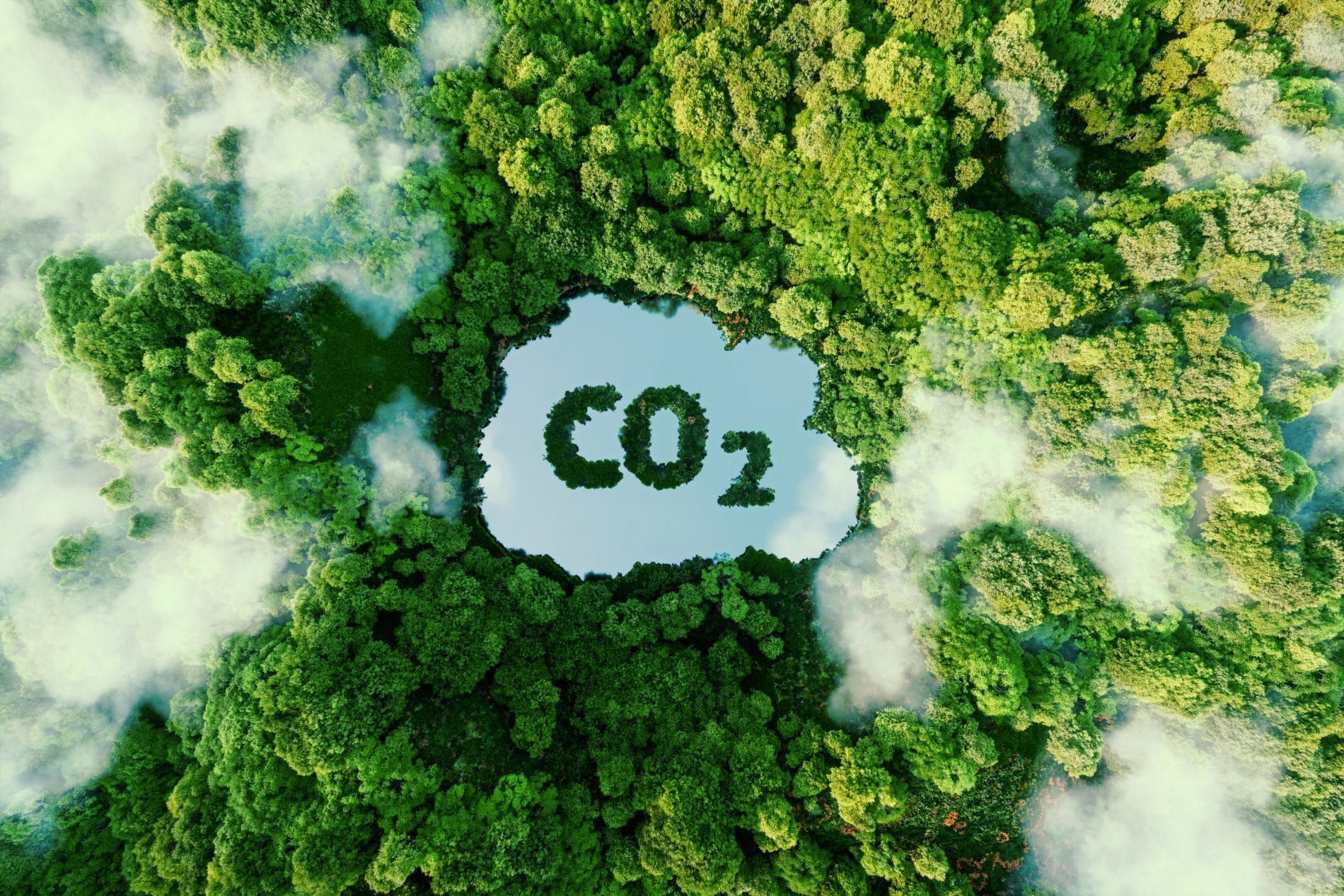 Riu Hotels führt CO₂-Bilanz-Service für nachhaltige Events ein