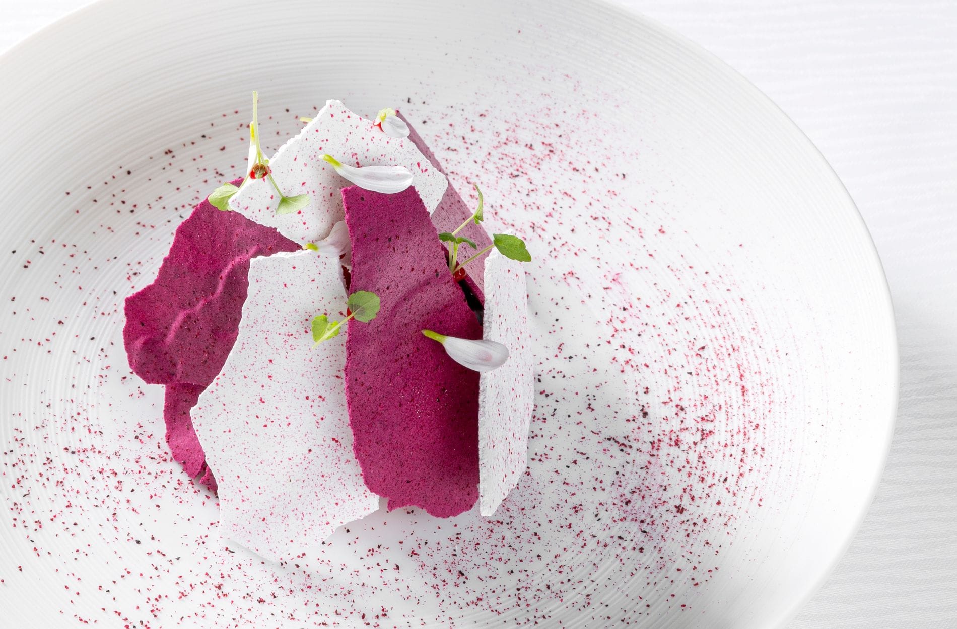 Pavlova Marco D'Andrea The Fontenay Hamburg Profirezept