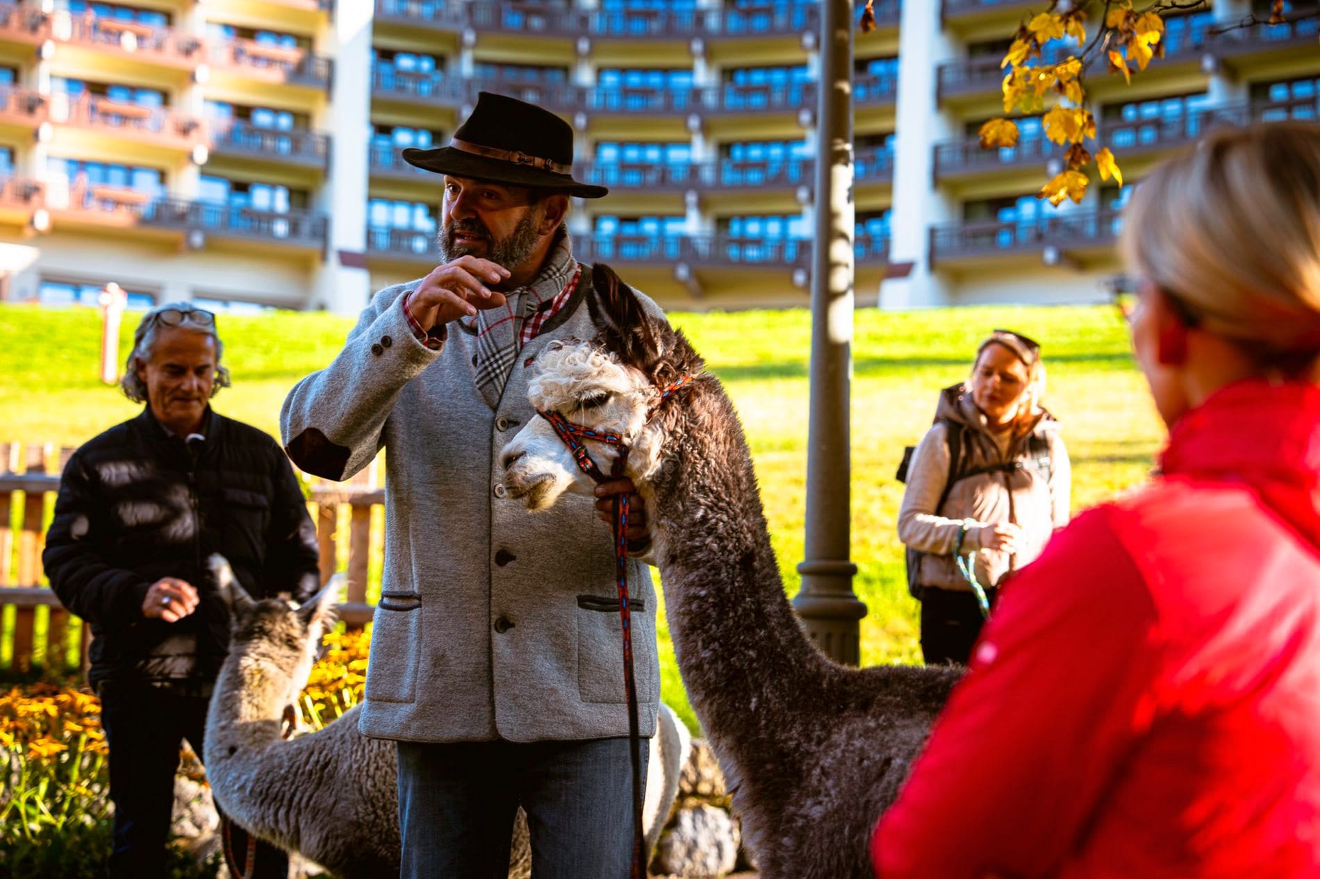 Impressionen vom SpaCamp 2025: Experience-Session Alpaka-Wanderung.