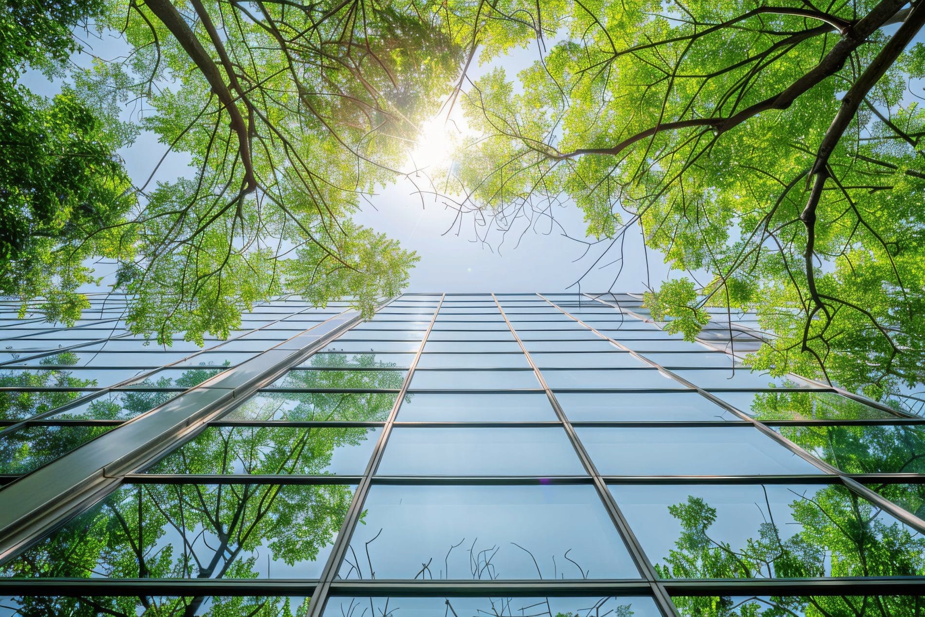 Der State of Sustainability Report 2025 zeigt: Der Einsatz von KI hilft Unternehmen, ihre Hotelemissionen um 24 Prozent zu senken.