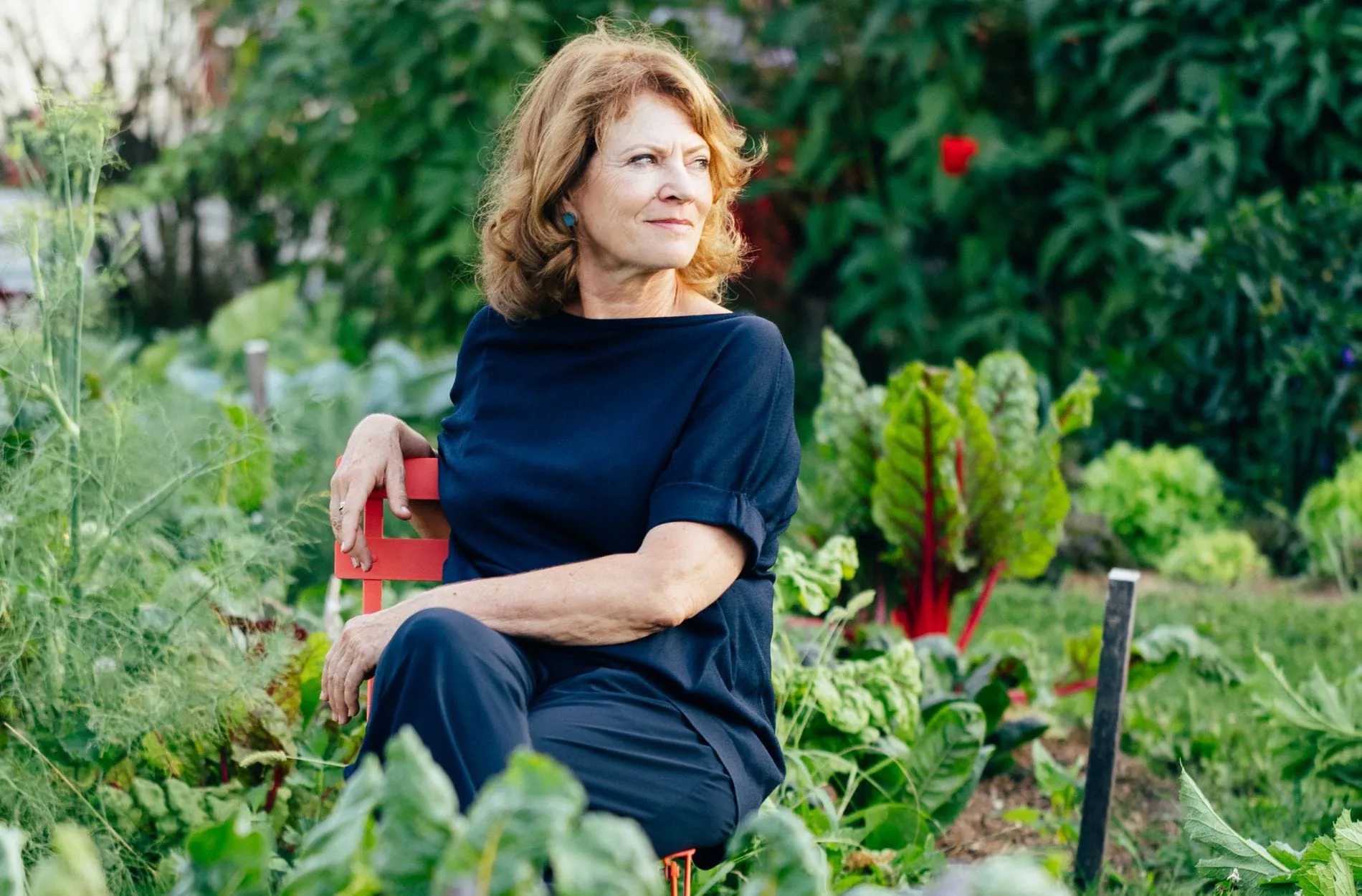 „Pflanzenbasierte ­Küche ist gekommen, um zu bleiben“