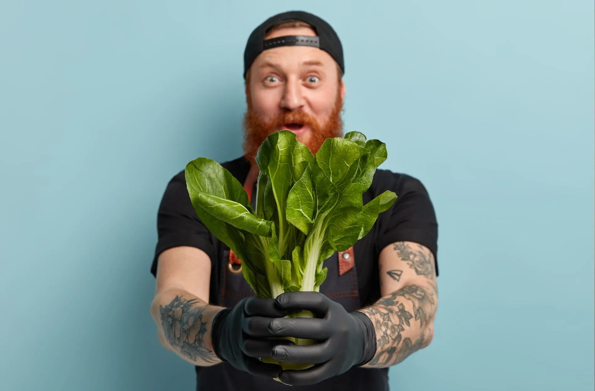 Ein Hoch auf die pflanzliche Küche