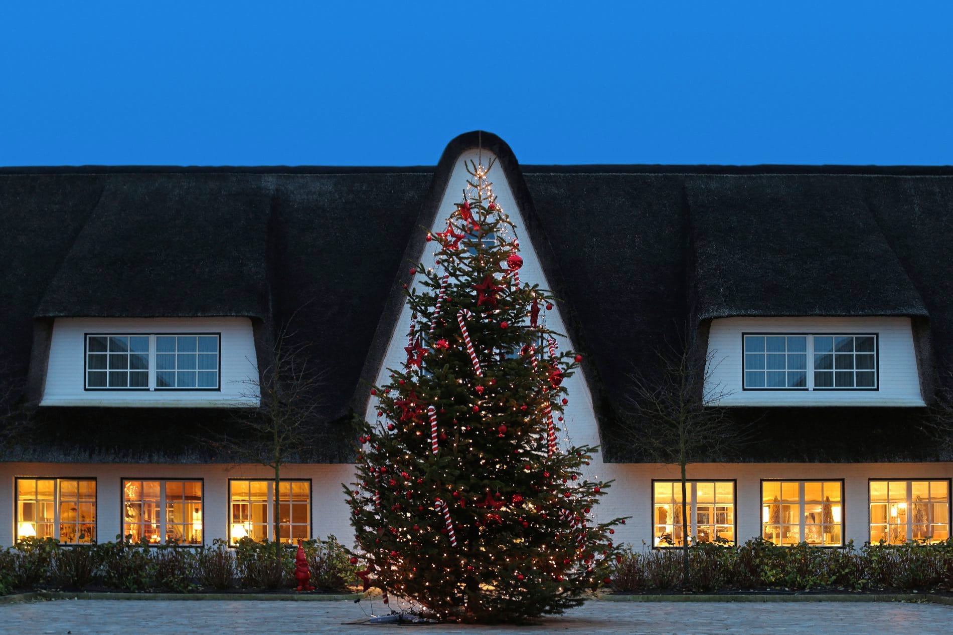 Geschmückter Weihnachtsbaum vor reetgedecktem Gebäude des Severin's Resort & Spa in der Abenddämmerung.