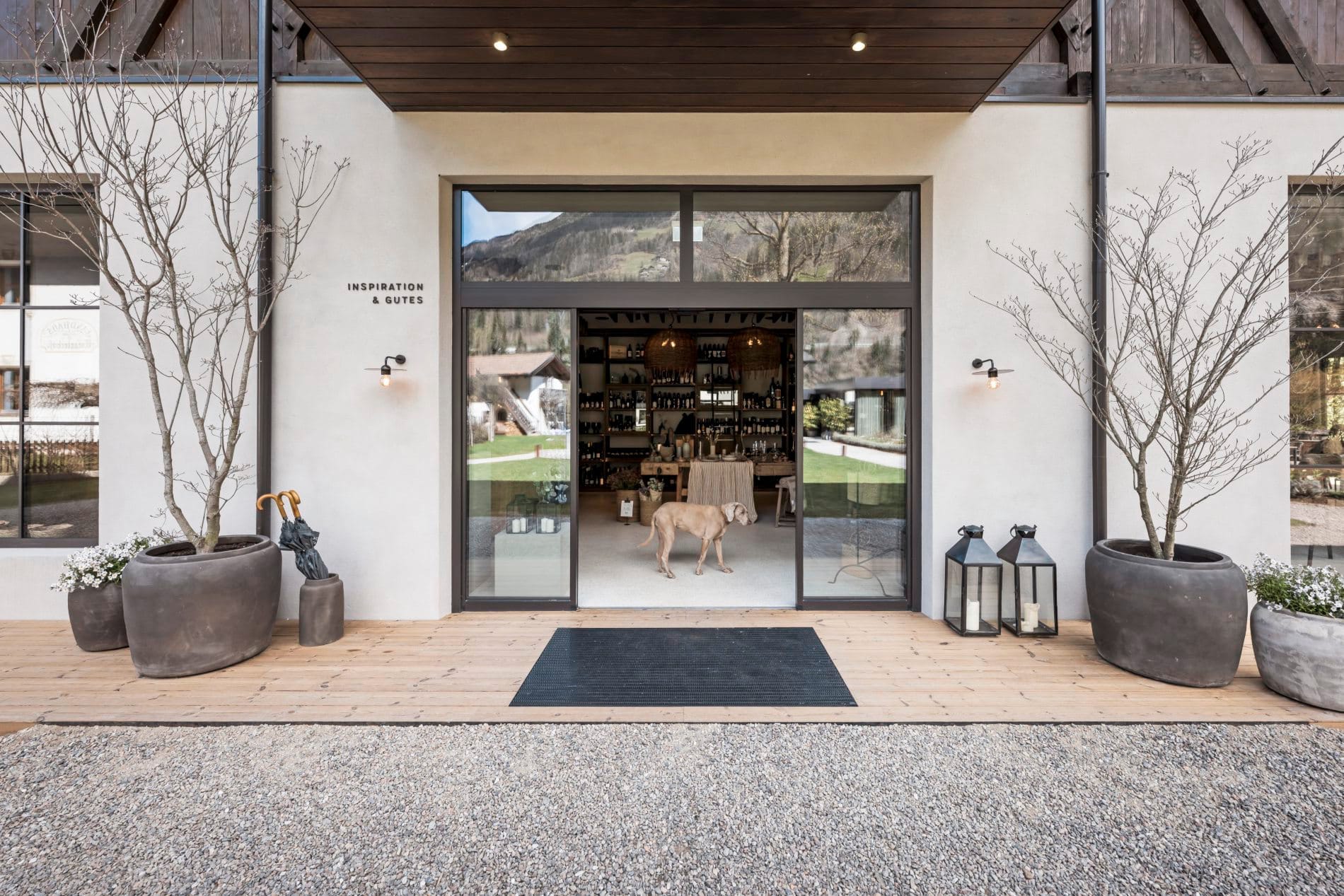 Glaseingang mit Schriftzug Inspiration und Gutes, Hund im Inneren, Bäume in Töpfen.