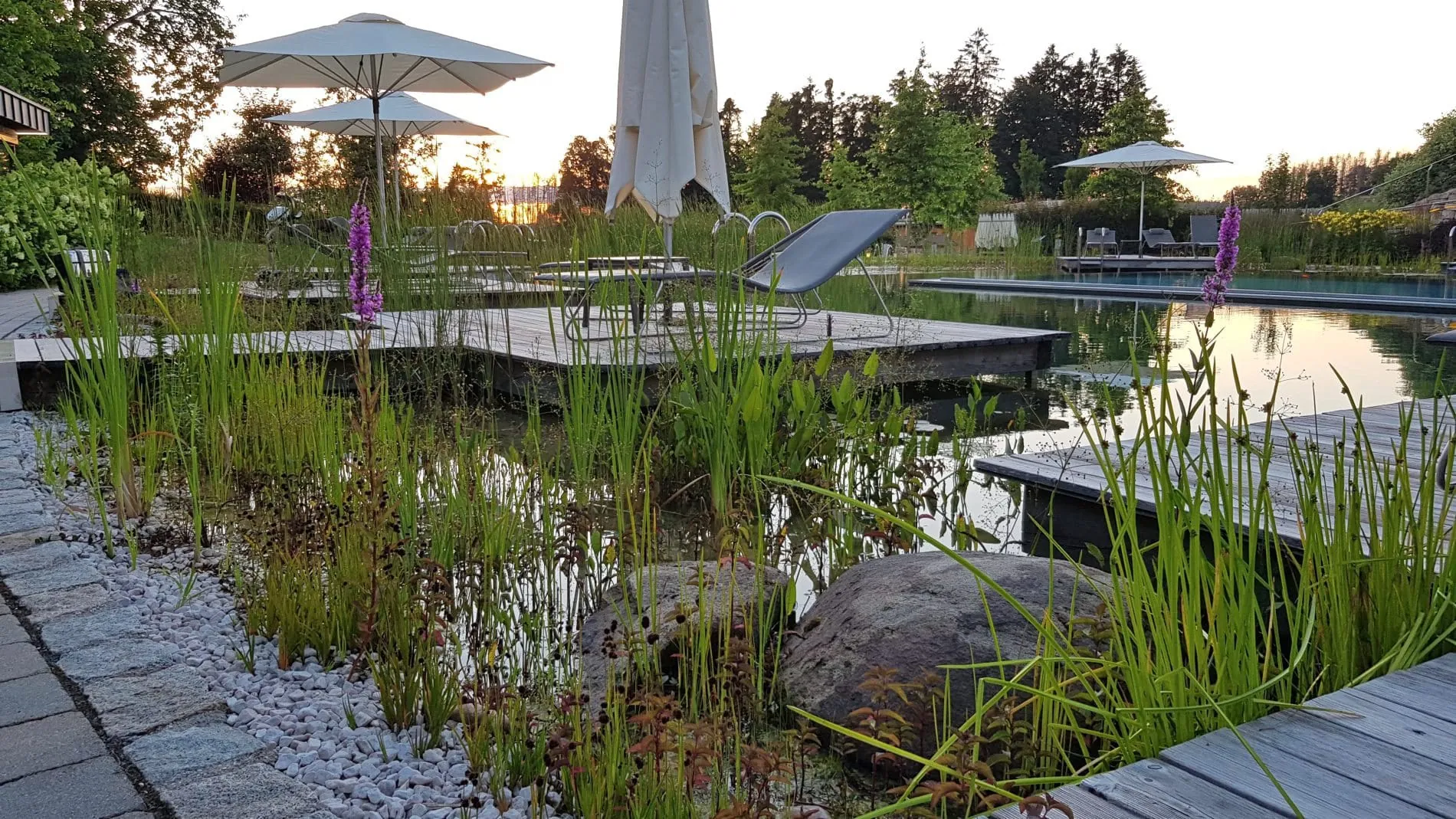 Durchdacht angelegt: Naturnaher Schwimmteich im Das Mühlbach in Bad Füssing.