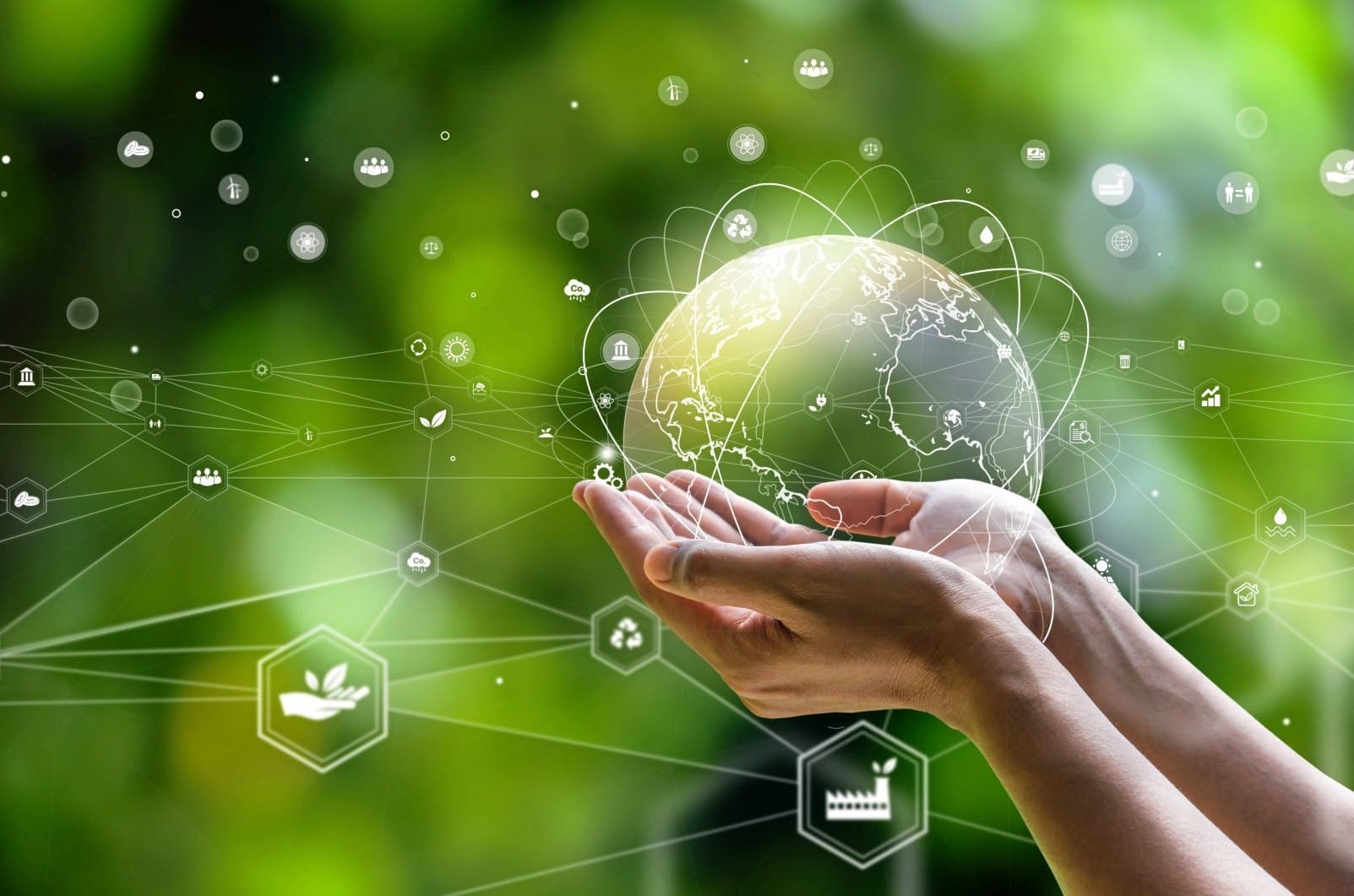 Der Green Monarch Award zeichnet Projekte aus, die Nachhaltigkeit im Betriebsalltag umsetzen.