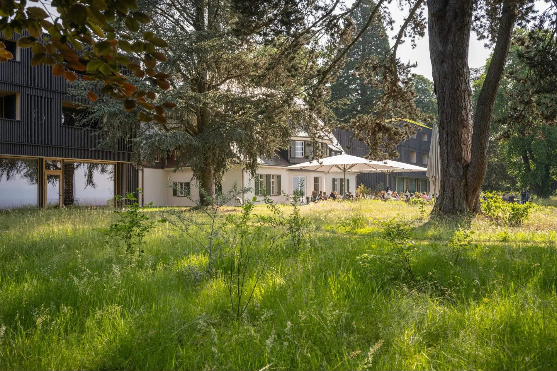 Grüne Rückzugsorte: Platz für Natur, Raum für Gäste