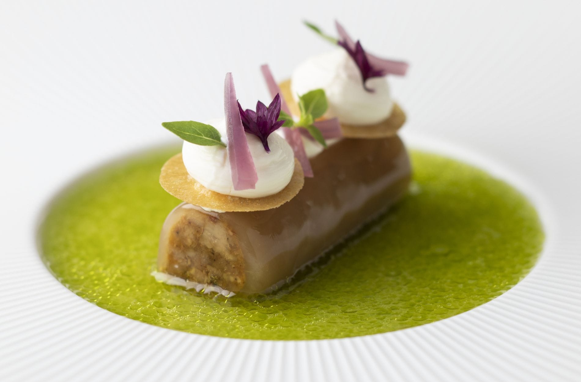 Kaninchen mit roter Zwiebel und Speck