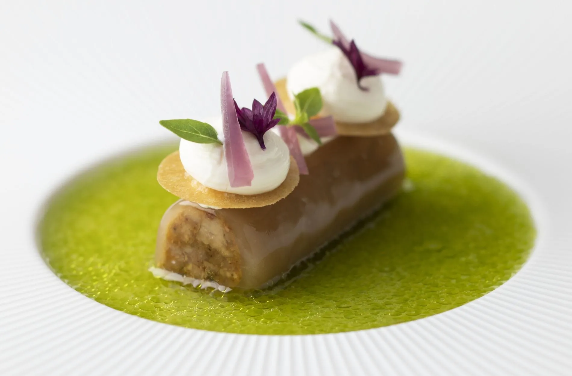 Kaninchen mit roter Zwiebel und Speck