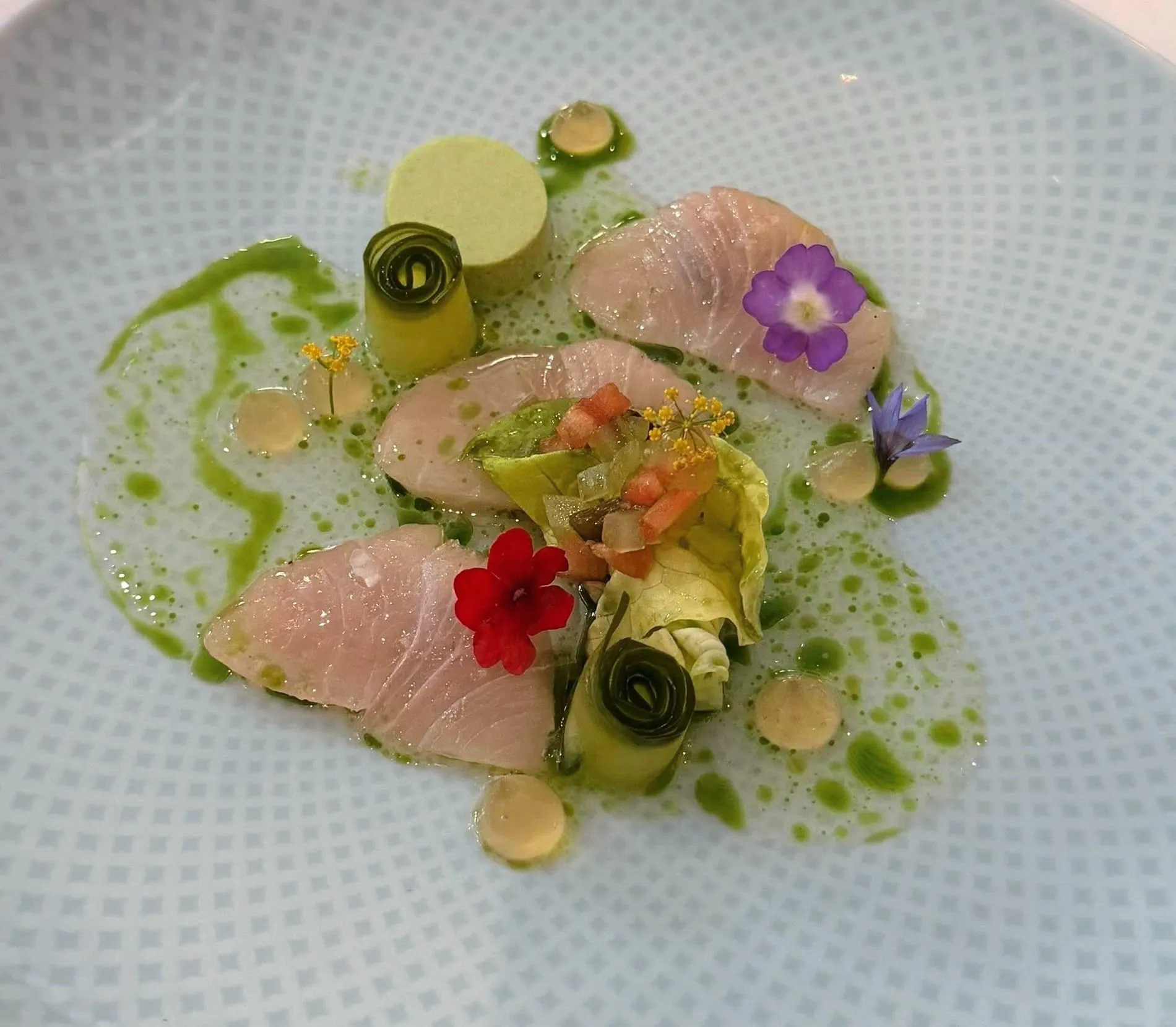 Marinierte Gelbflossen Makrele mit Gurke, Jalapeno und Kopfsalat