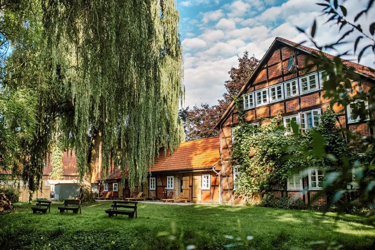 Mit der Kartoffel zum Hotel-Erfolg