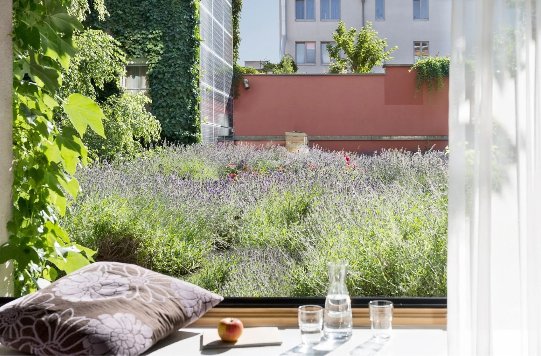 Das Lavendeldach des Cocoon Wien Westbahnhof ist Teil des nachhaltigen Hotelkonzepts.