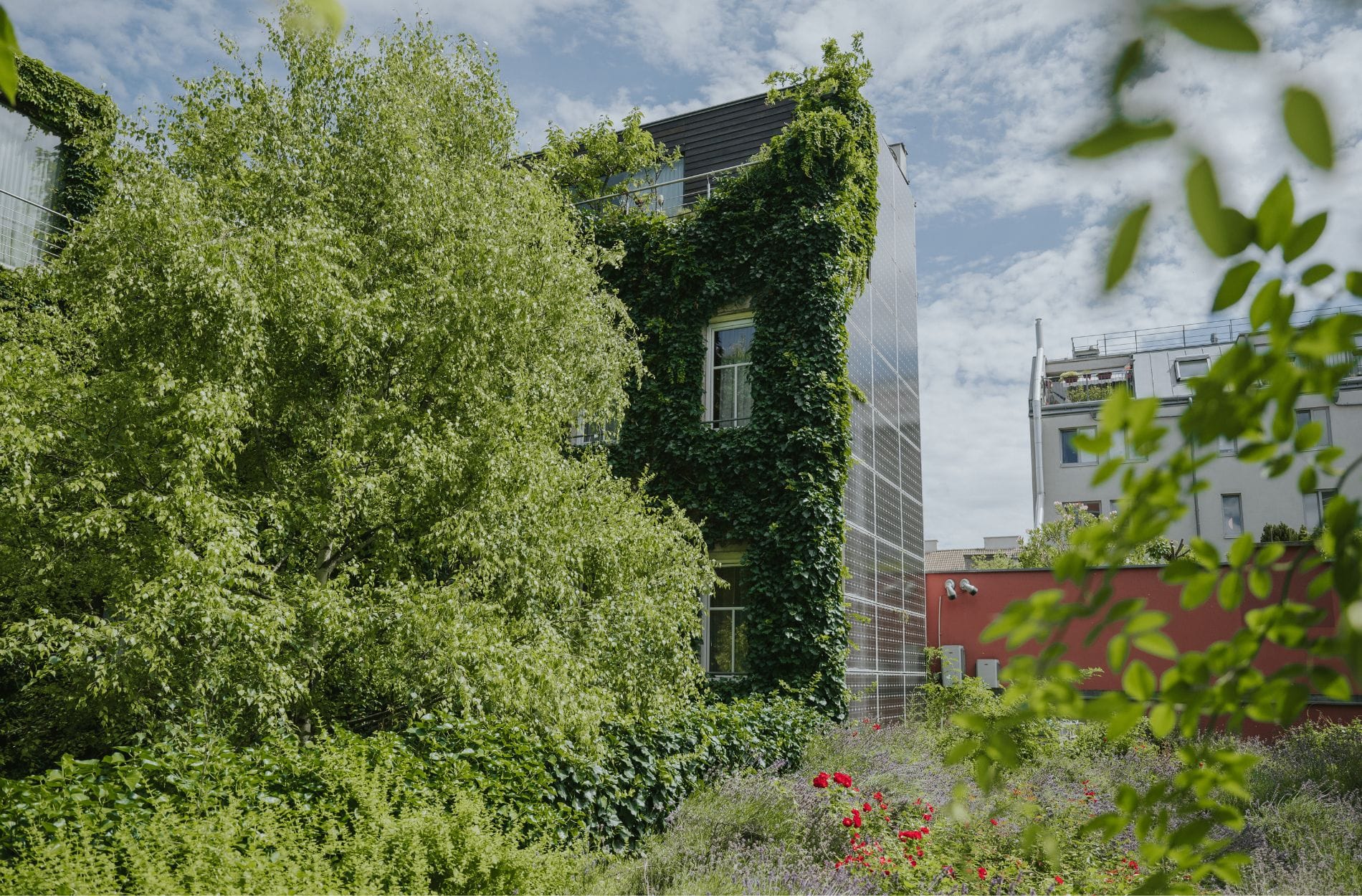 Cocoon übernimmt Stadthalle in Markenwelt