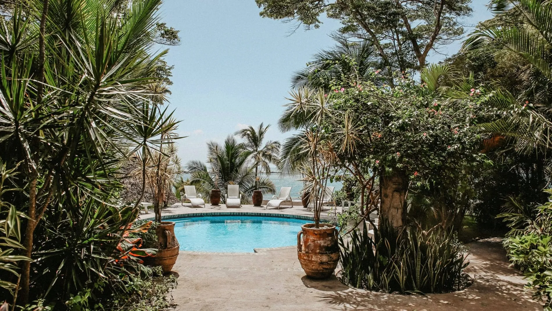 Sansara Surf and Yoga Resort Pool